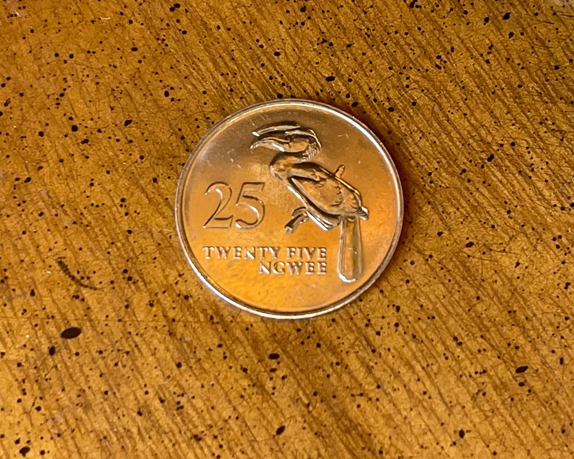 Hornbill 25 Ngwee Zambia Authentic Coin Money for Jewelry and Craft Making