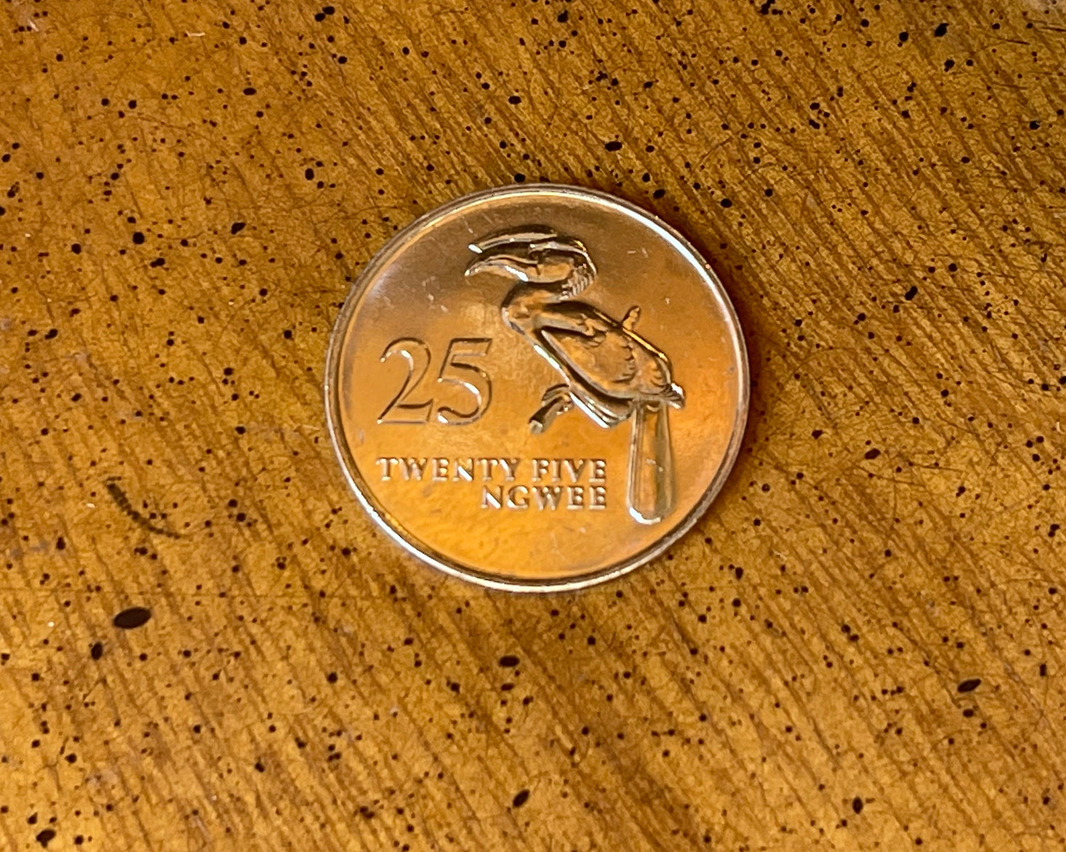 Hornbill 25 Ngwee Zambia Authentic Coin Money for Jewelry and Craft Making