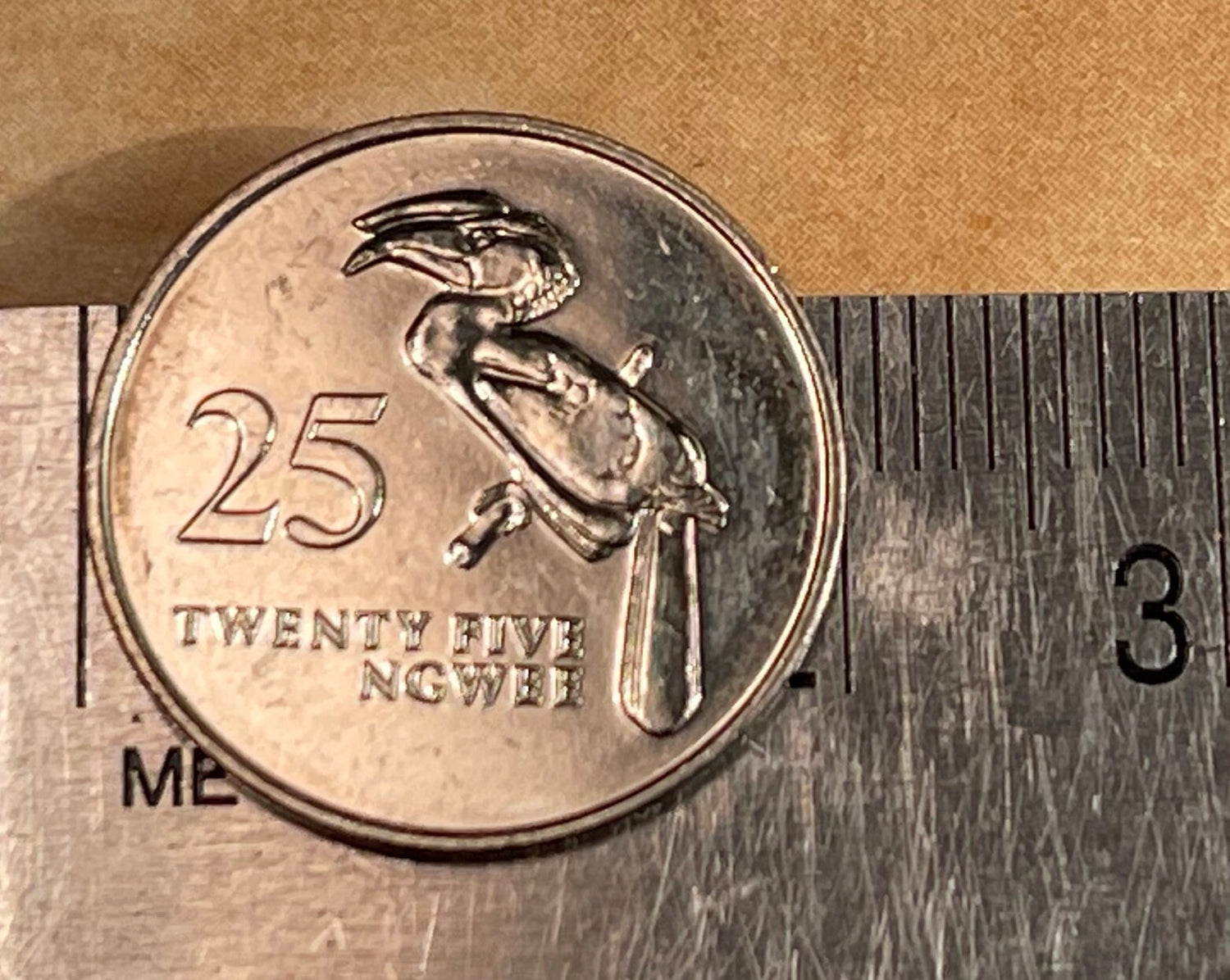 Hornbill 25 Ngwee Zambia Authentic Coin Money for Jewelry and Craft Making