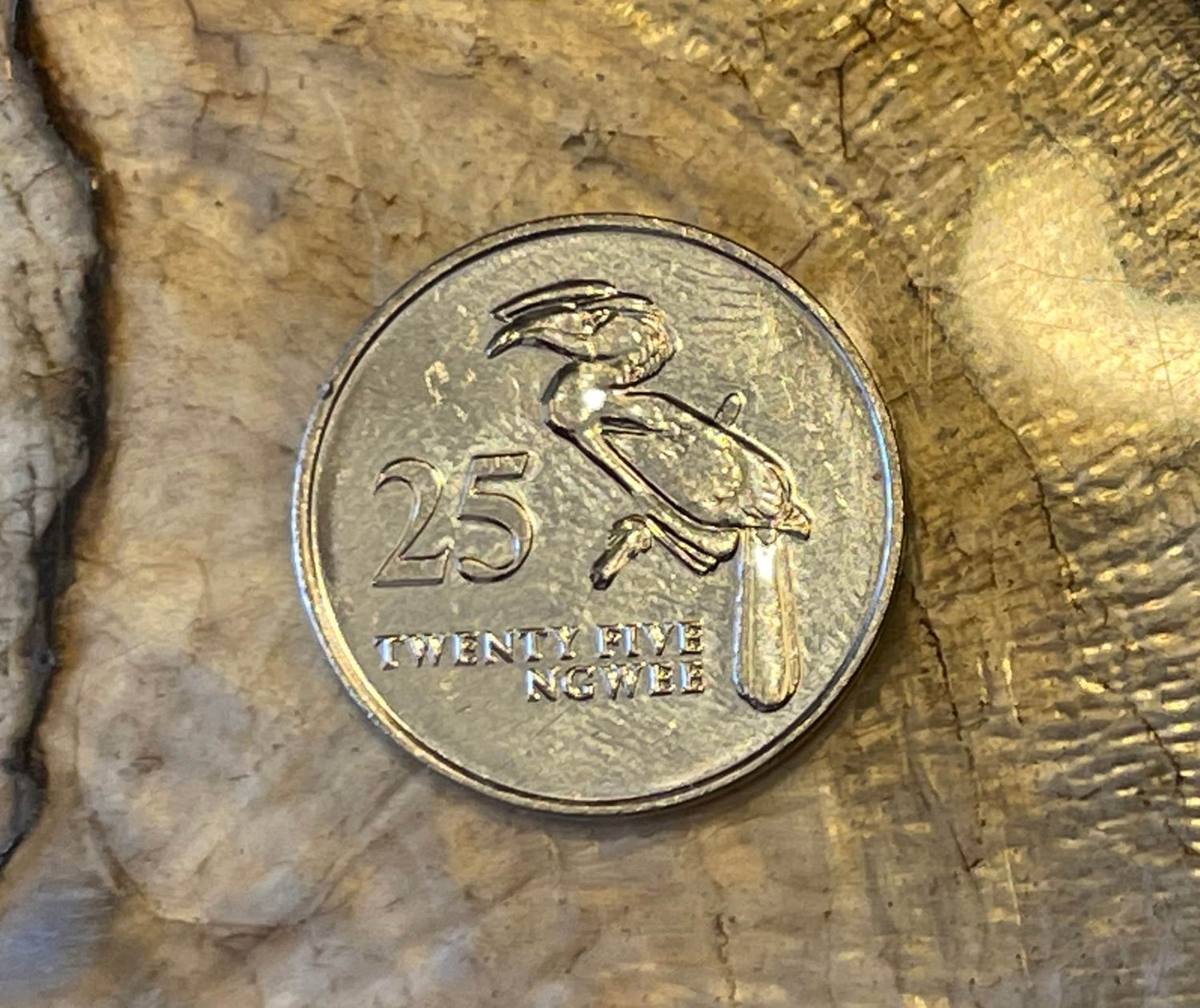 Hornbill 25 Ngwee Zambia Authentic Coin Money for Jewelry and Craft Making