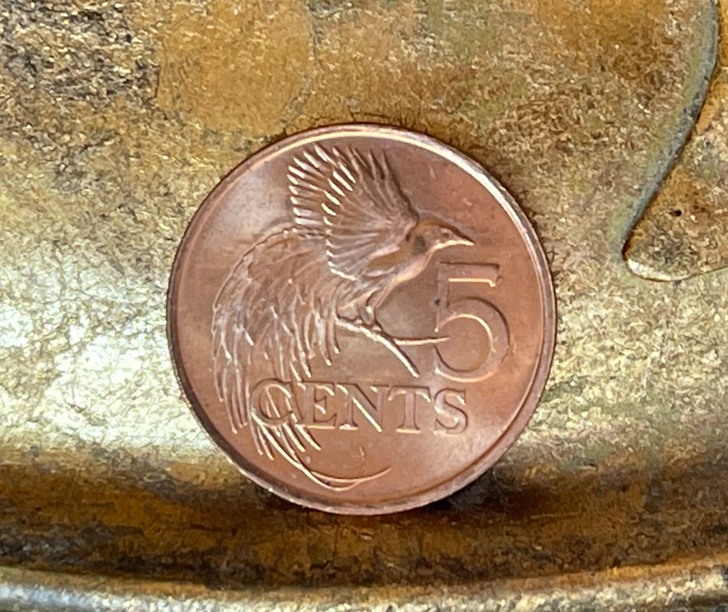Bird of Paradise 5 Cents Trinidad & Tobago Authentic Coin Money for Jewelry and Craft Making