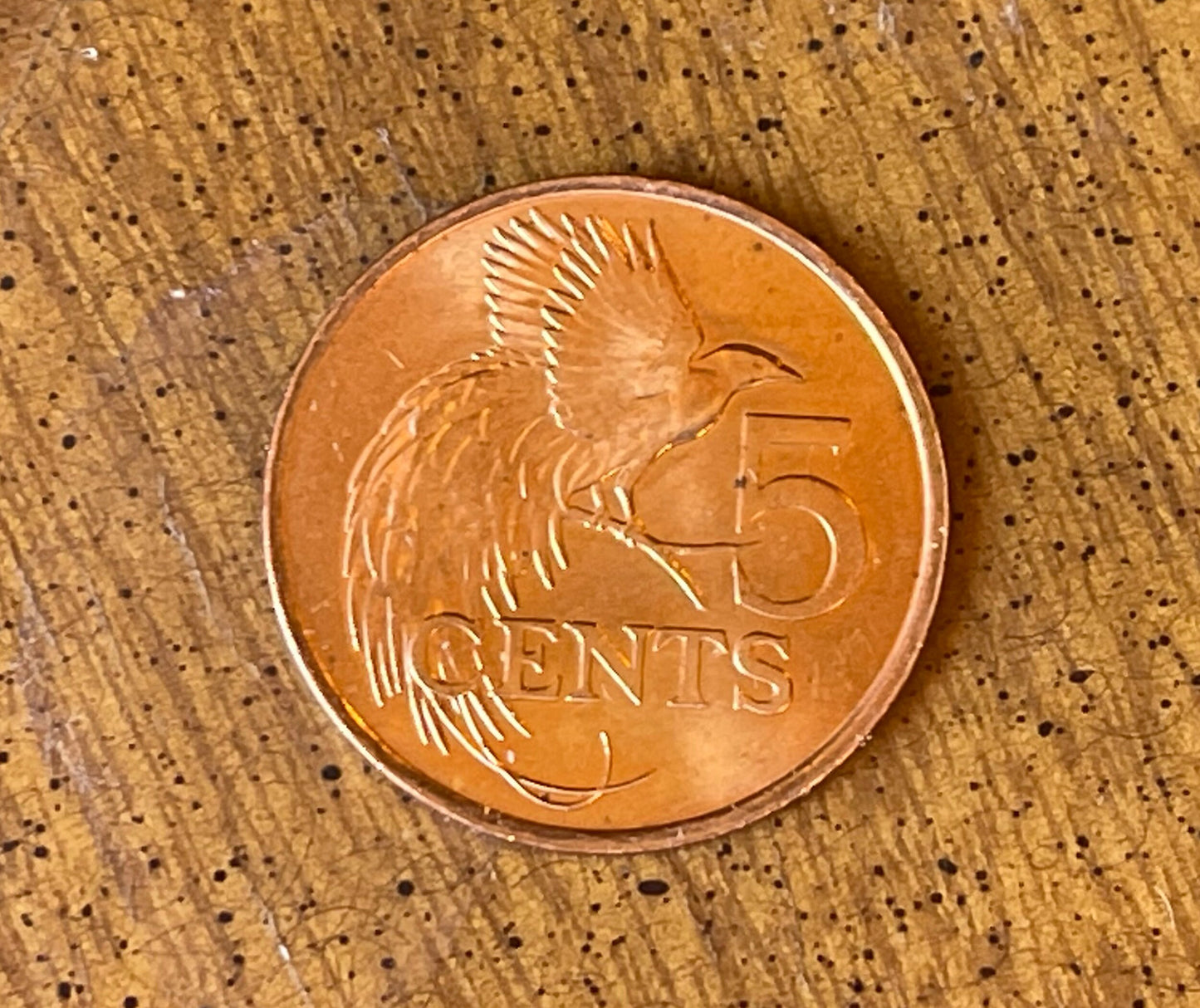 Bird of Paradise 5 Cents Trinidad & Tobago Authentic Coin Money for Jewelry and Craft Making