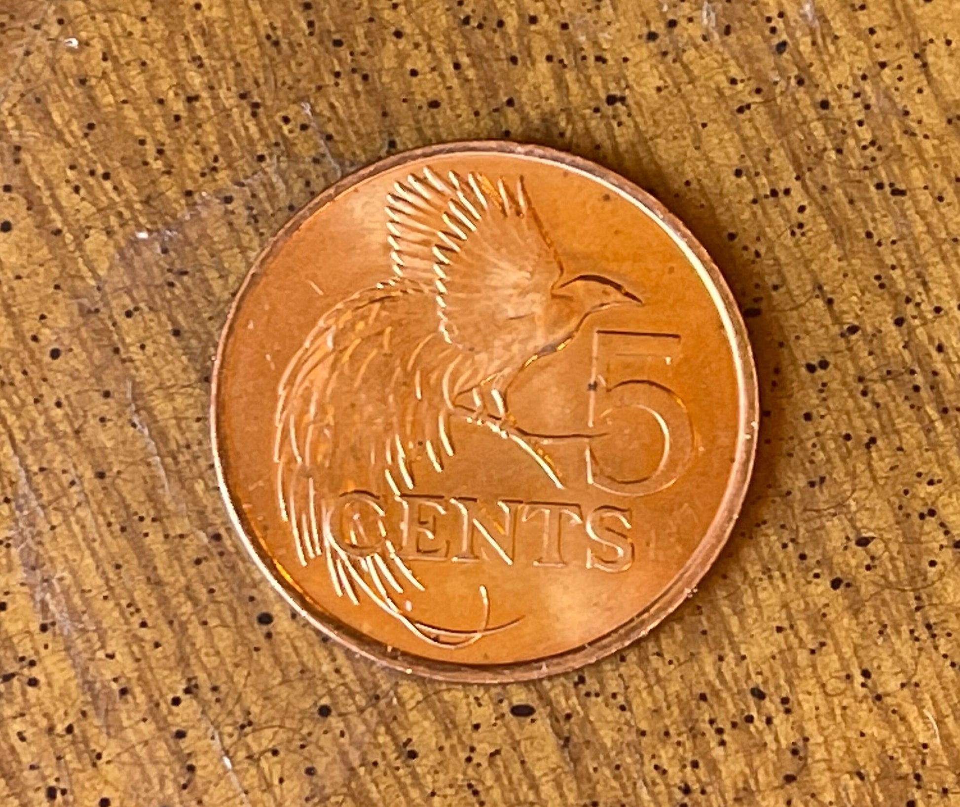 Bird of Paradise 5 Cents Trinidad & Tobago Authentic Coin Money for Jewelry and Craft Making