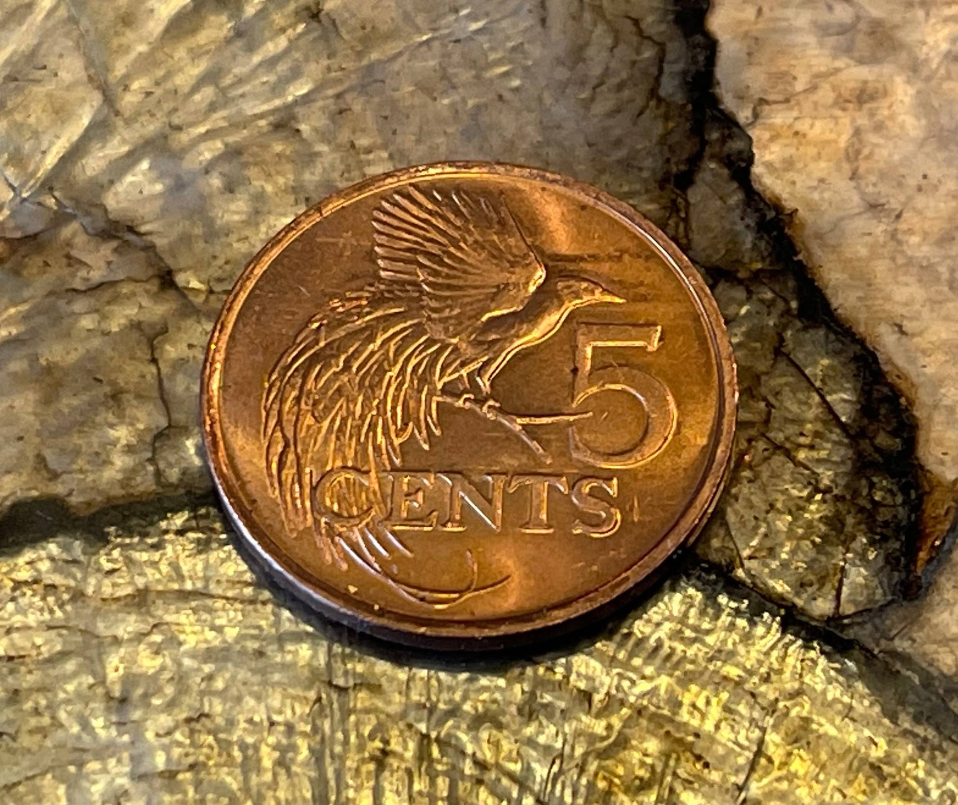 Bird of Paradise 5 Cents Trinidad & Tobago Authentic Coin Money for Jewelry and Craft Making