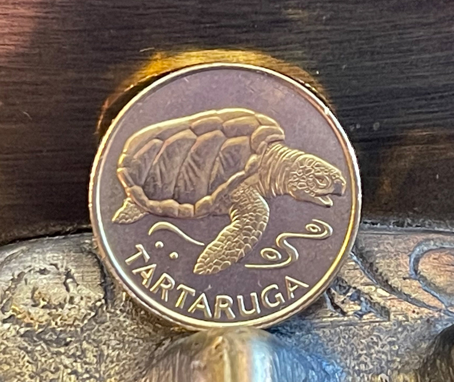 Loggerhead Turtle 1 Escudo Cape Verde Authentic Coin Money for Jewelry and Craft Making