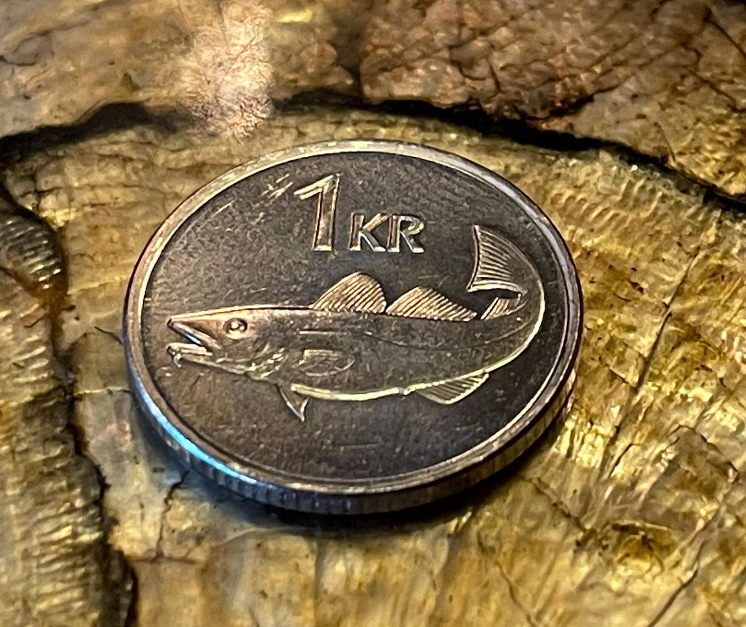 Giant Bergrisi & Cod Fish Krona Iceland Authentic Coin Money for Jewelry and Crafting Making