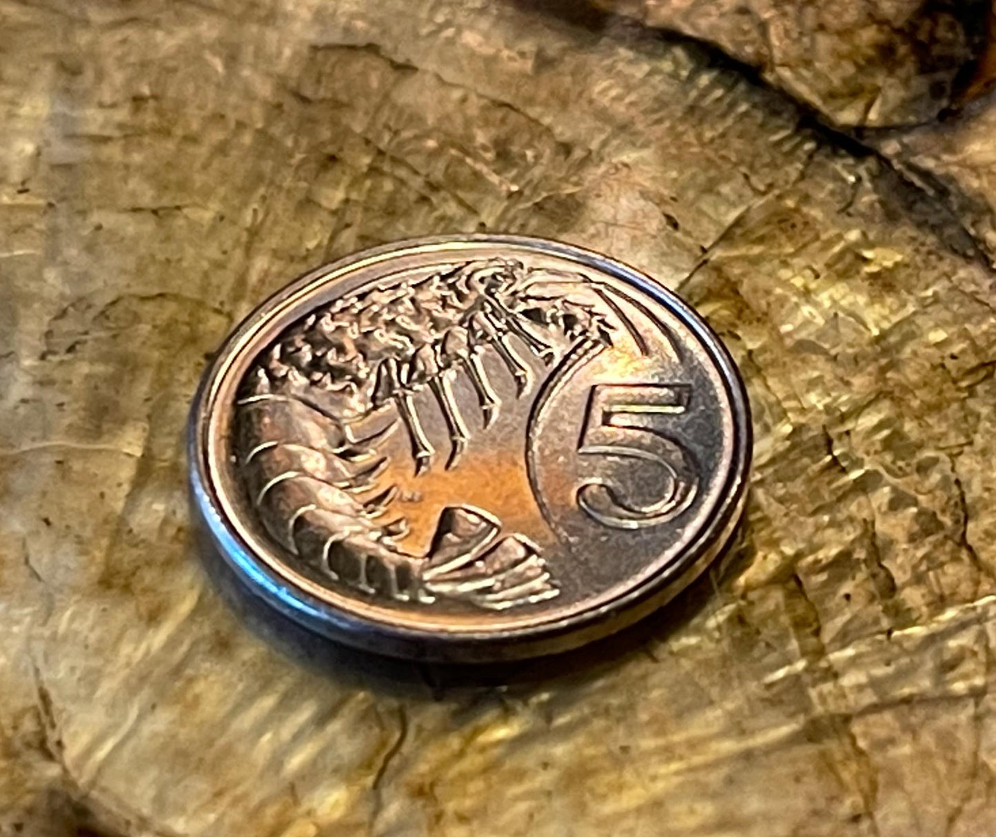 Crayfish Cayman Islands Authentic Coin Money Cent for Jewelry and Craft Making