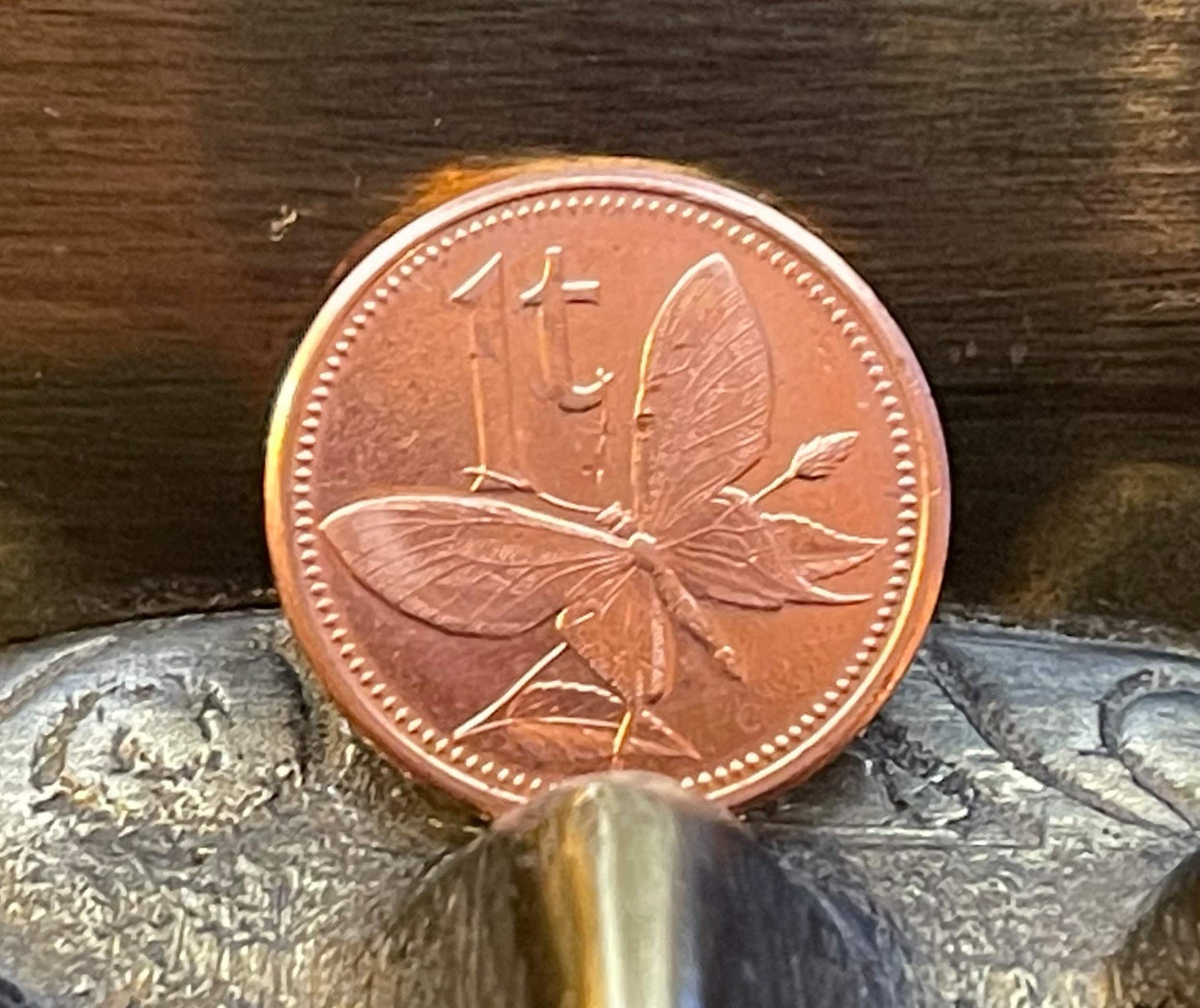 World's Biggest Butterfly - Birdwing - & Bird of Paradise - Papua New Guinea Authentic Coin - 1 Toea - Money for Jewelry and Craft Making