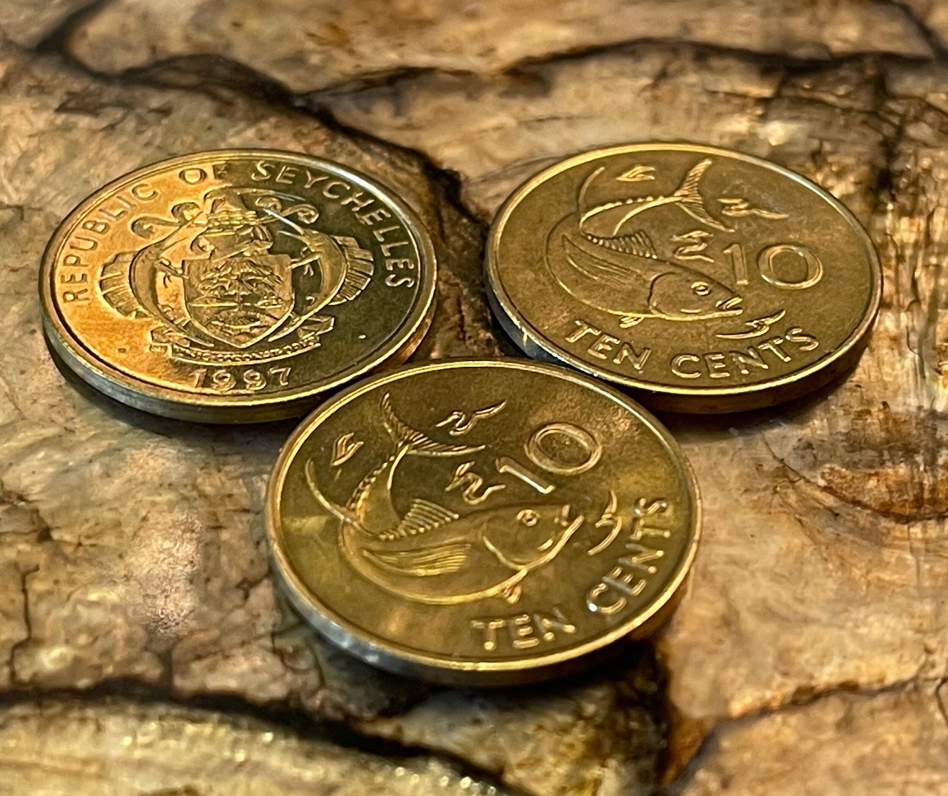 Tuna Seychelles Authentic Coin Money for Jewelry and Craft Making