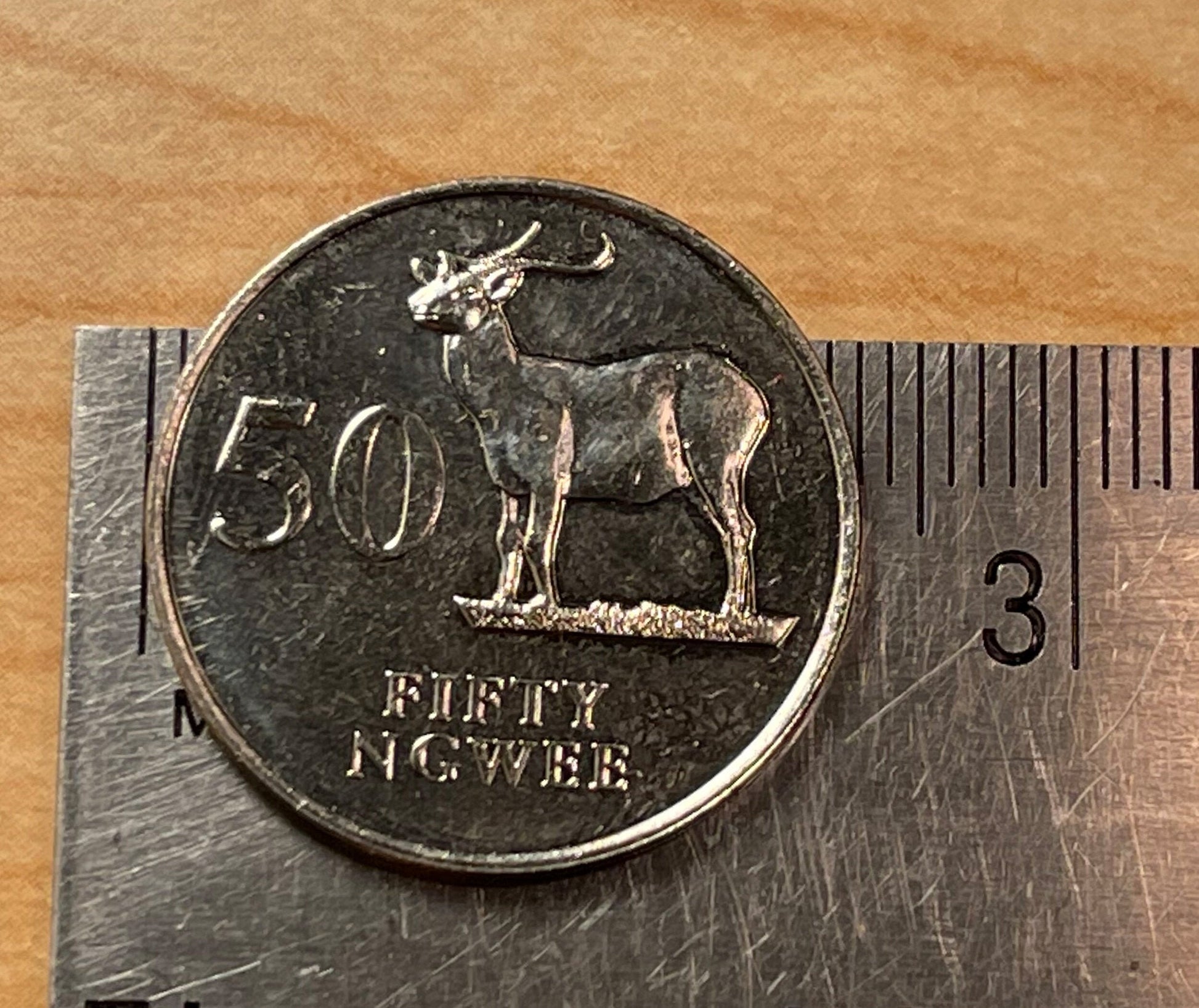 Antelope "Kafue Lechwe" 50 Ngwee Zambia Authentic Coin Money for Jewelry and Craft Making