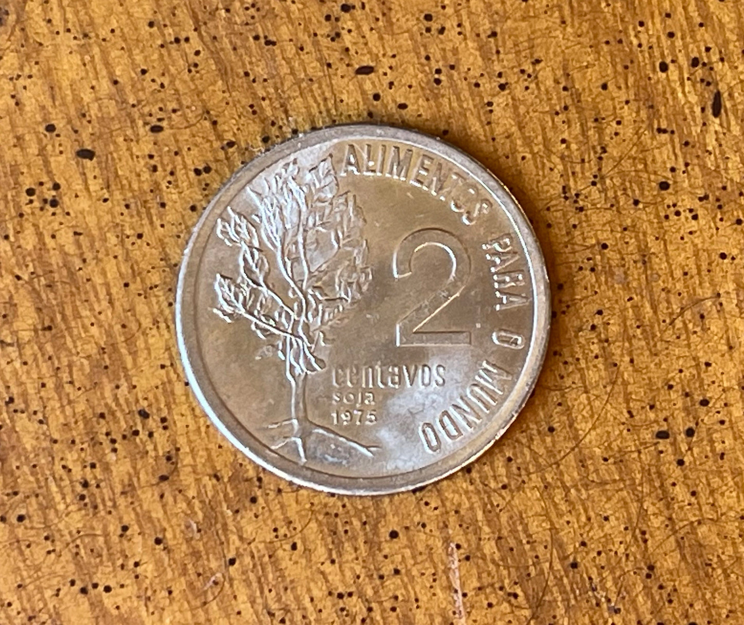 Soy Bean Plant "Food for the World" Brazil Authentic Coin Money 2 Centavos for Jewelry and Craft Making