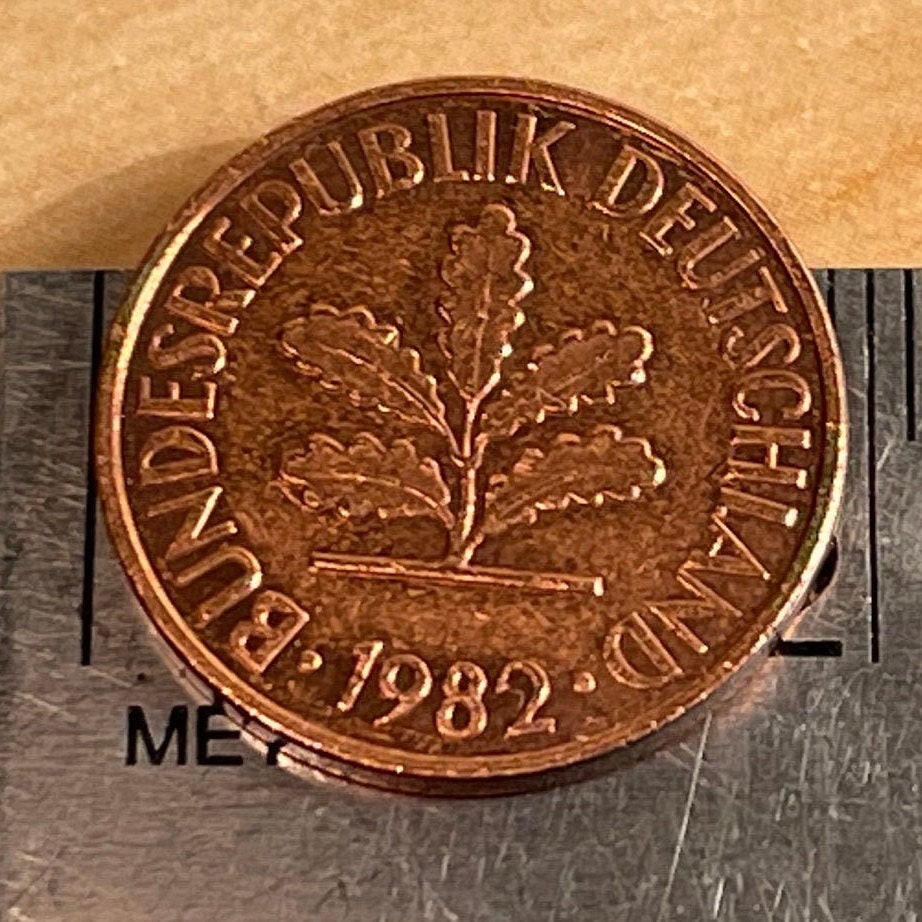 Oak Seedling 2 Pfennig German Authentic Coin Money for Jewelry and Craft Making