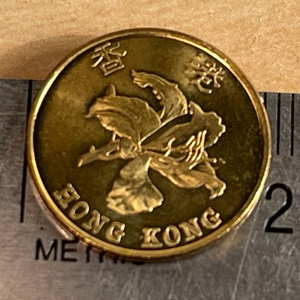 Bauhinia Orchid 10 Cent Hong Kong Authentic Coin Money for Jewelry and Craft Making