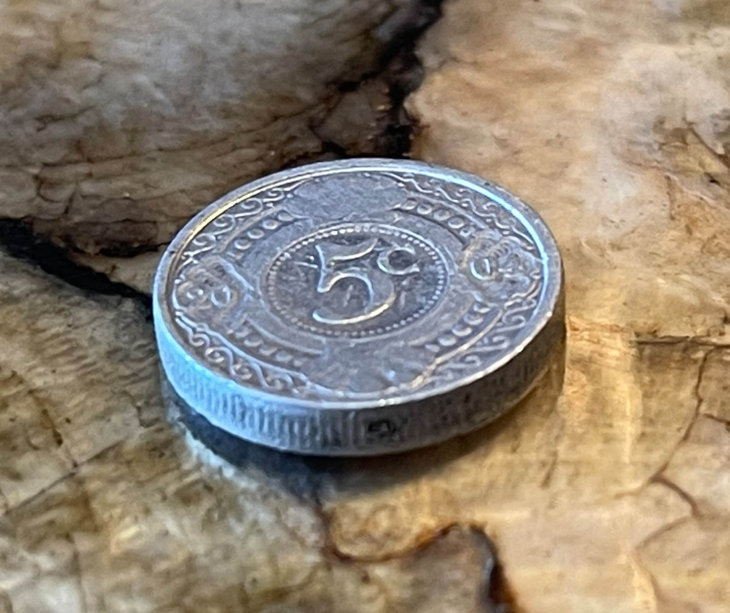 Curaçao Orange 5 Cents Netherlands Antilles Authentic Coin Money for Jewelry and Craft Making (Curaçao Liqueur) (Triple Sec) (Witbier)