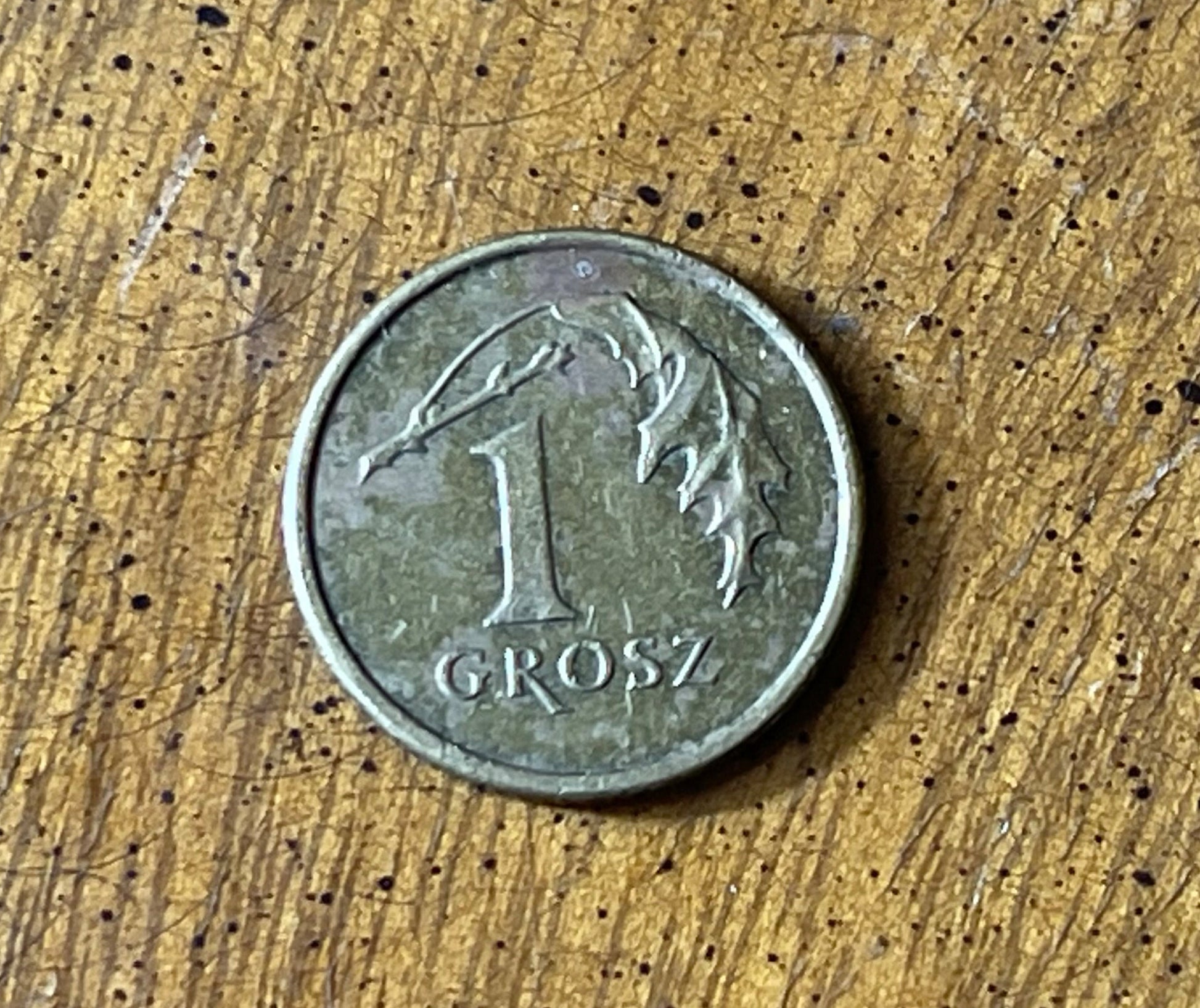 Oak Leaf Poland Authentic Coin Money 1 Grosz for Jewelry and Craft Making