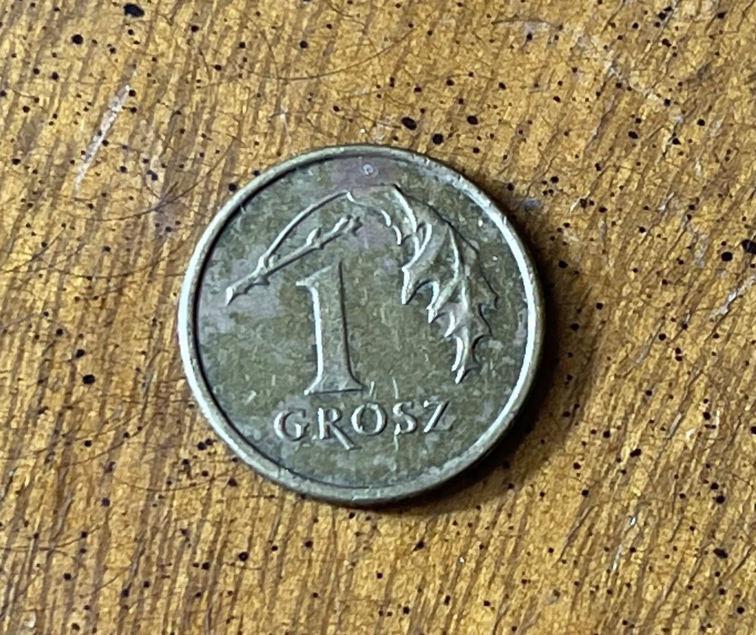 Oak Leaf Poland Authentic Coin Money 1 Grosz for Jewelry and Craft Making
