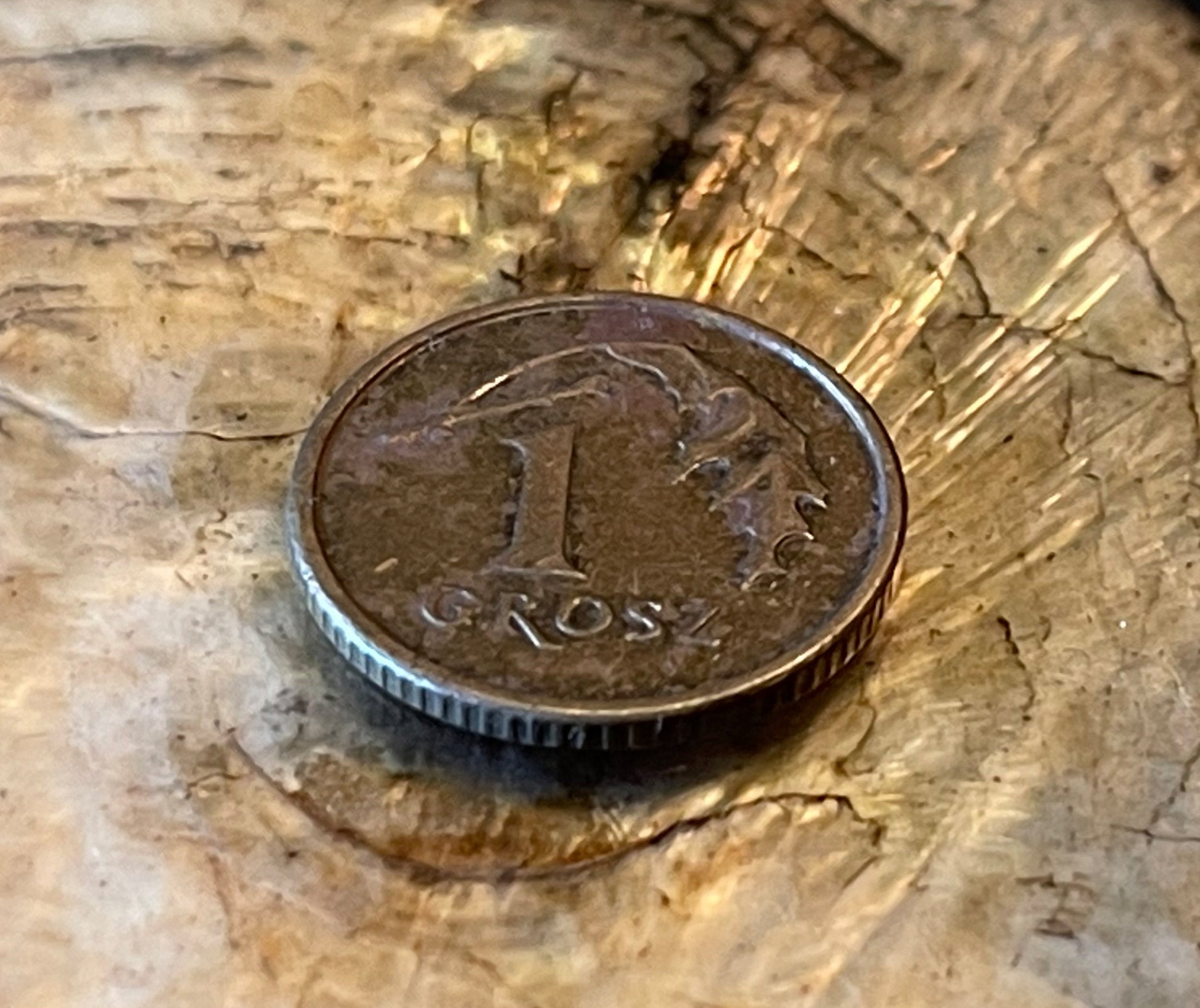 Oak Leaf Poland Authentic Coin Money 1 Grosz for Jewelry and Craft Making