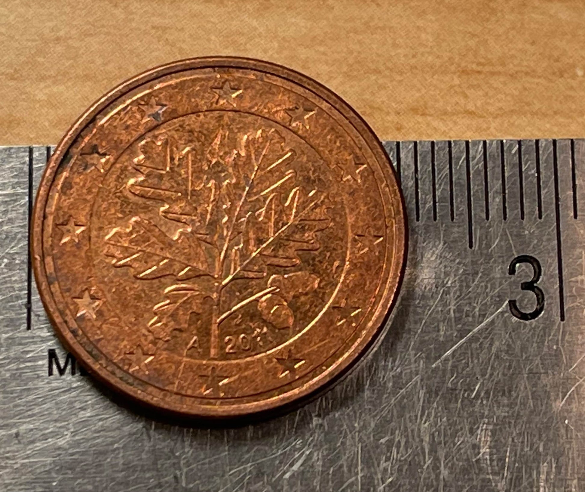 Oak Twig German Authentic Coin Money 5 Euro Cents for Jewelry and Craft Making