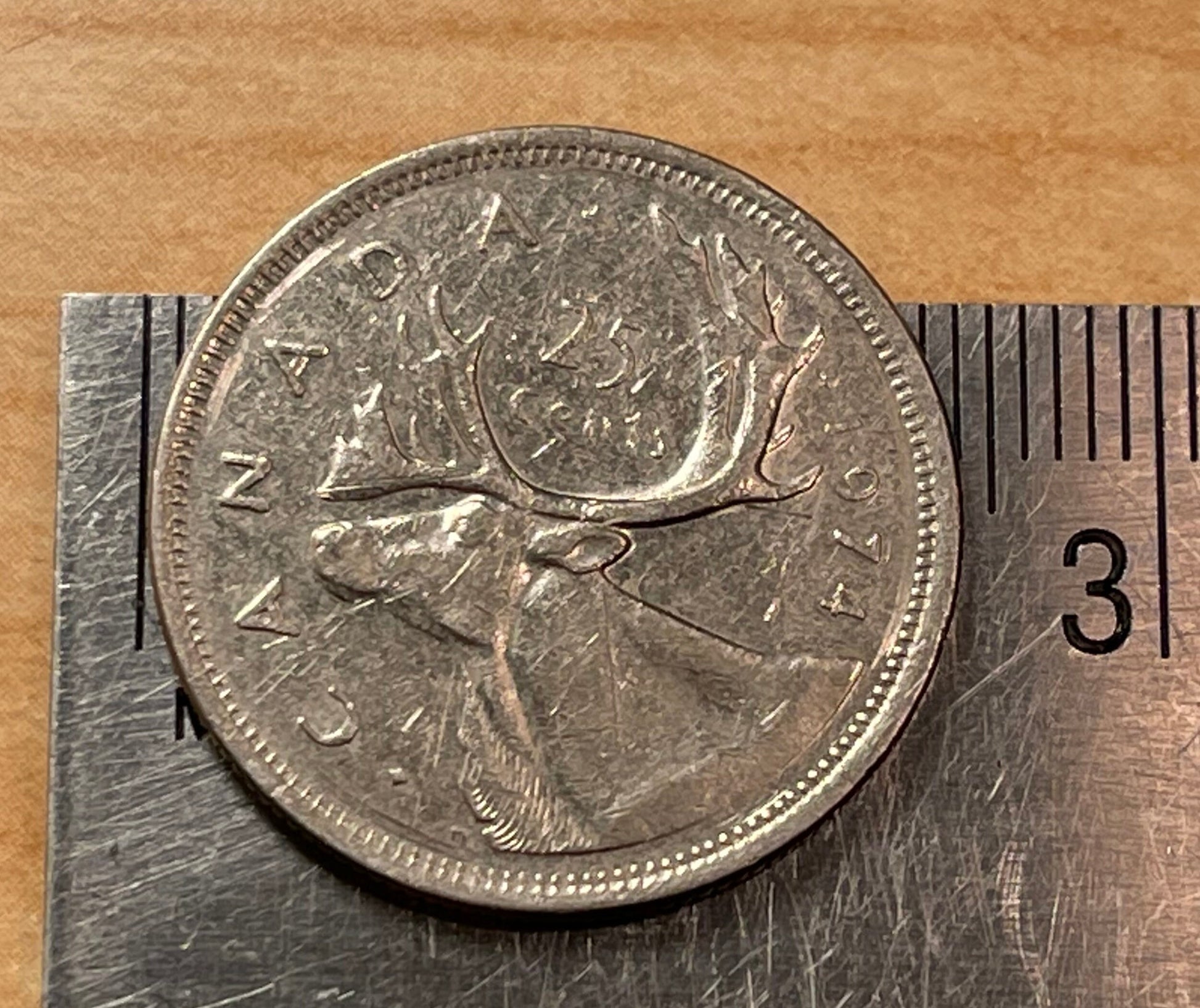 Caribou & Queen Elizabeth Canadian Authentic Coin Money for Jewelry and Craft Making