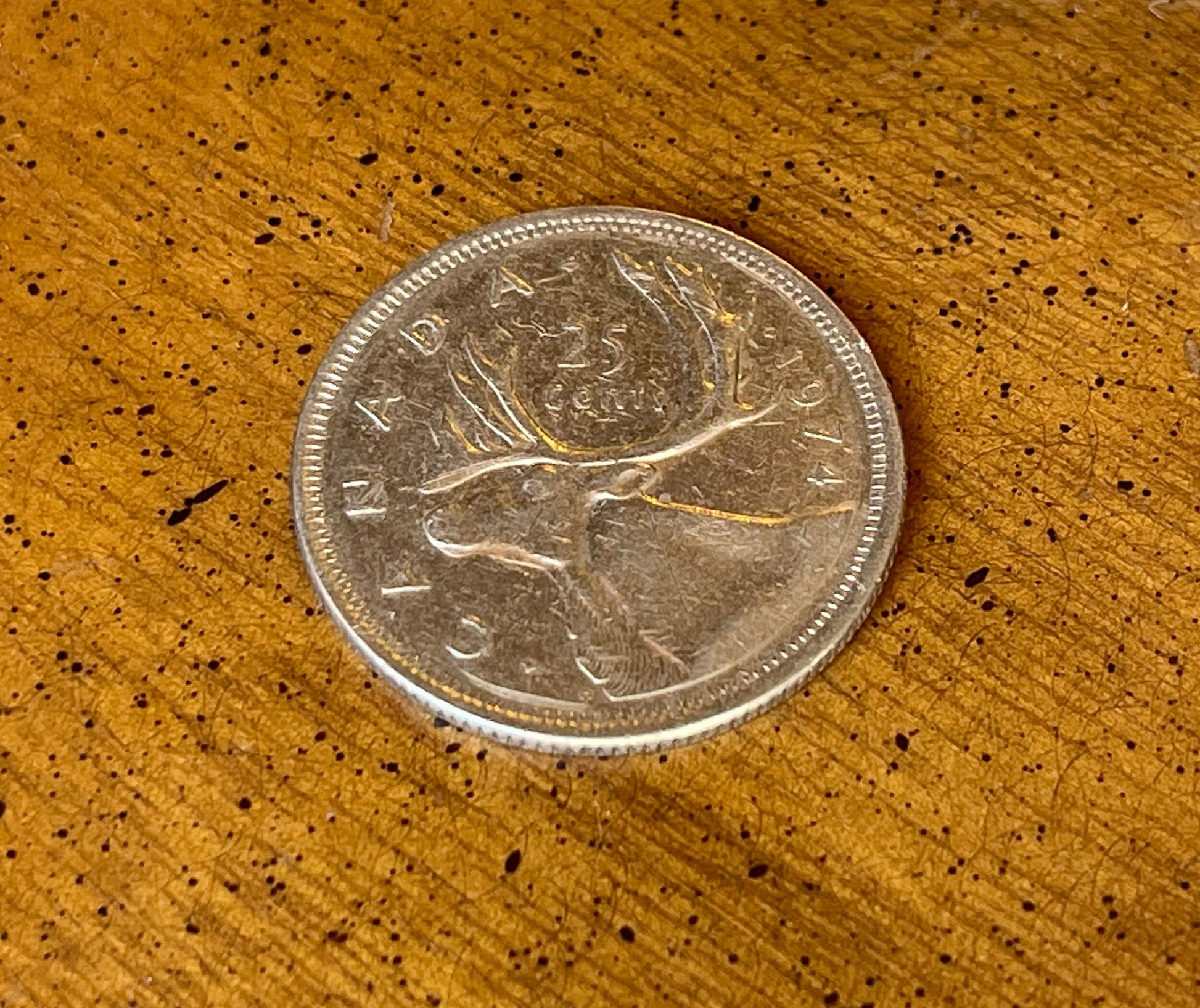 Caribou & Queen Elizabeth Canadian Authentic Coin Money for Jewelry and Craft Making