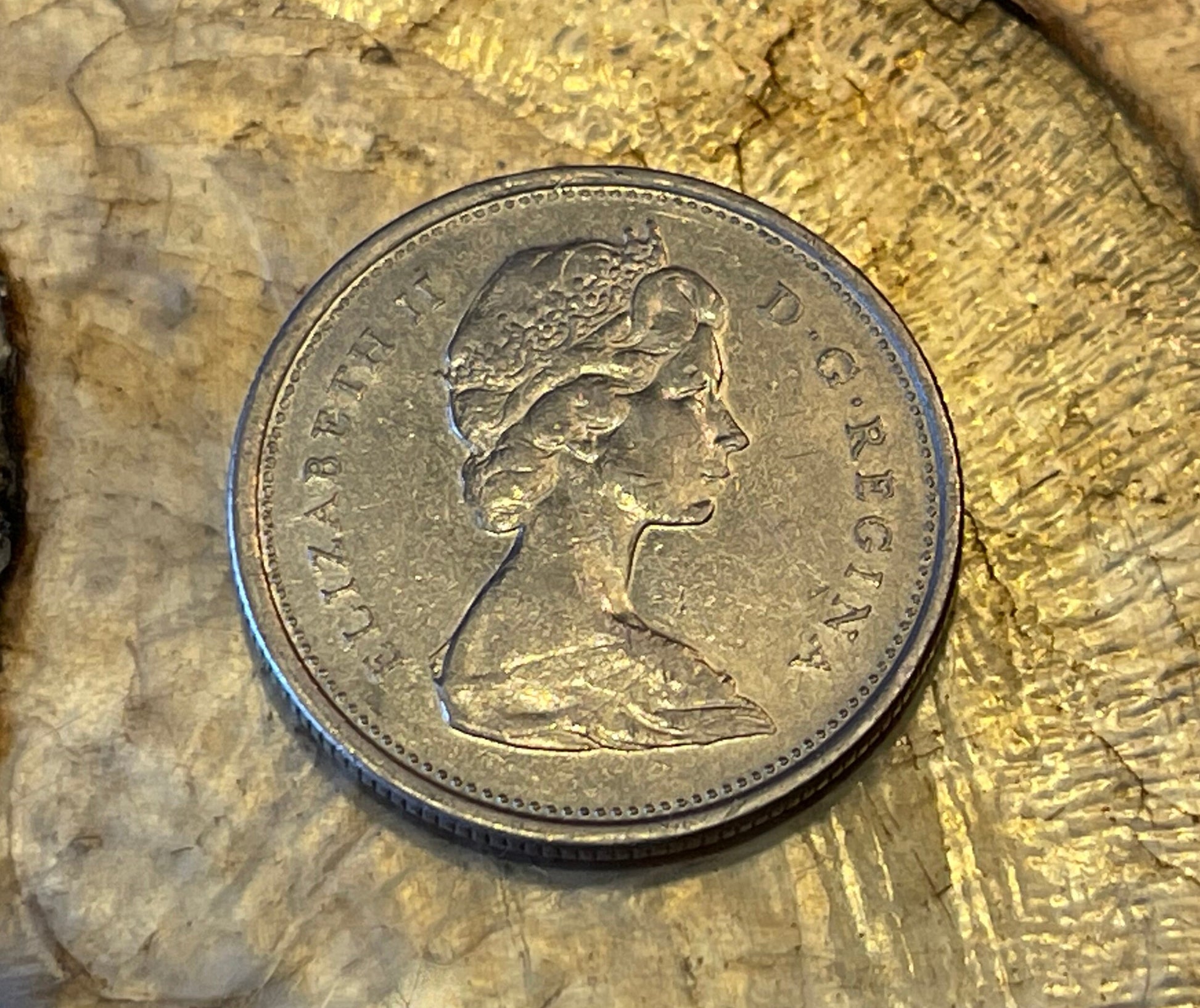 Caribou & Queen Elizabeth Canadian Authentic Coin Money for Jewelry and Craft Making