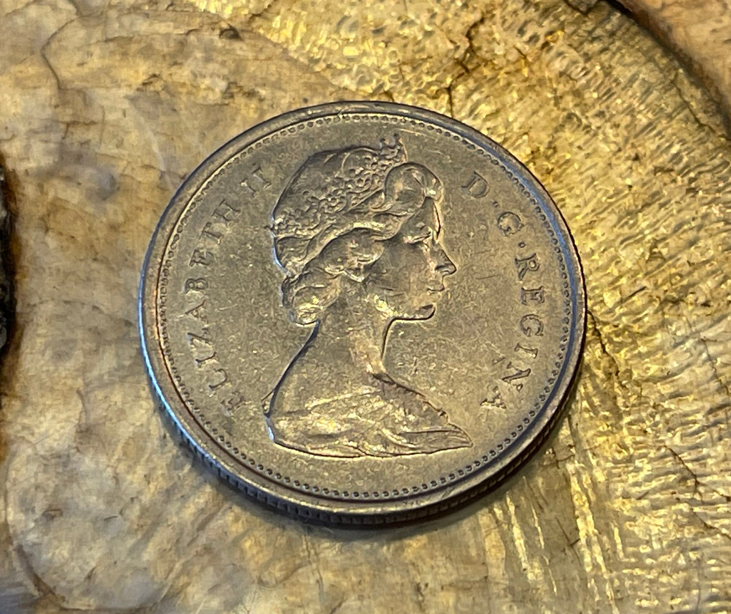 Caribou & Queen Elizabeth Canadian Authentic Coin Money for Jewelry and Craft Making