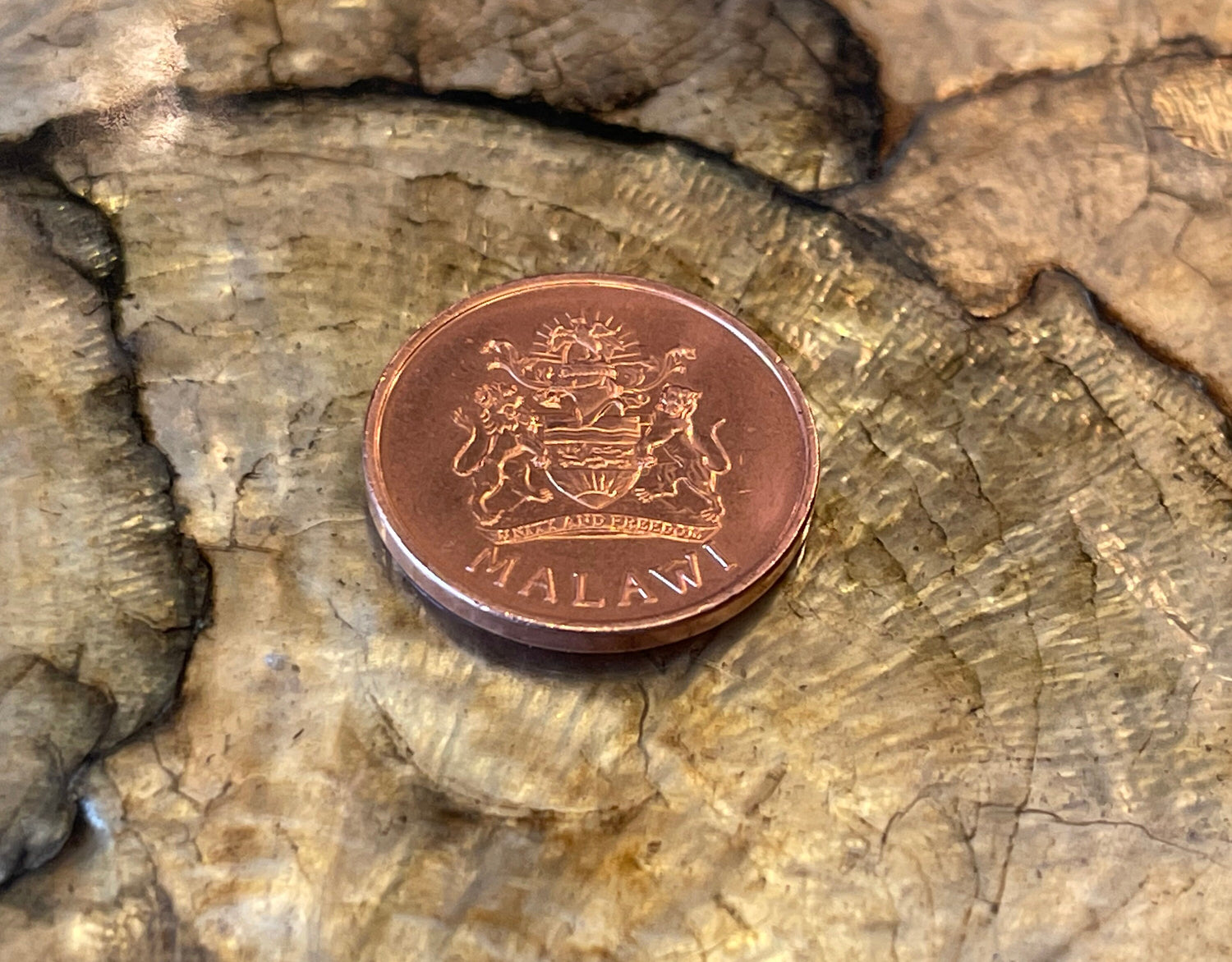 Paradise Whydah Bird 2 Tambala Malawi Authentic Coin Money for Jewelry and Craft Making