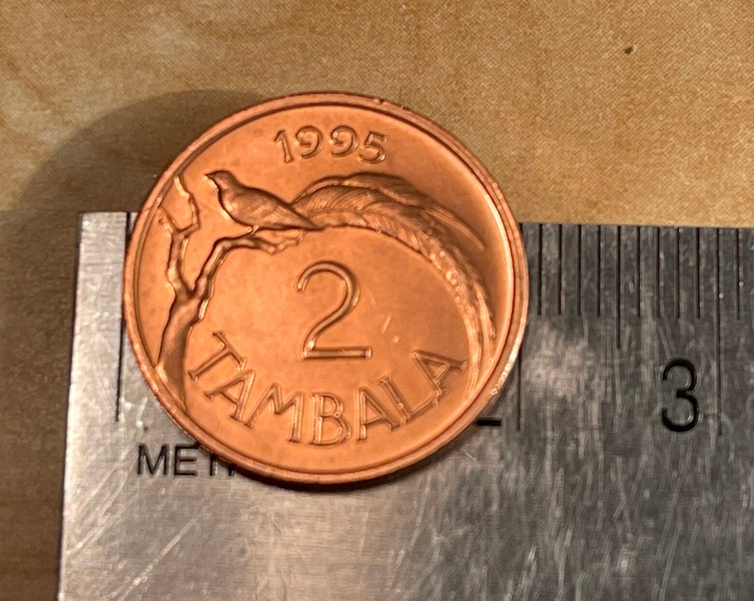 Paradise Whydah Bird 2 Tambala Malawi Authentic Coin Money for Jewelry and Craft Making