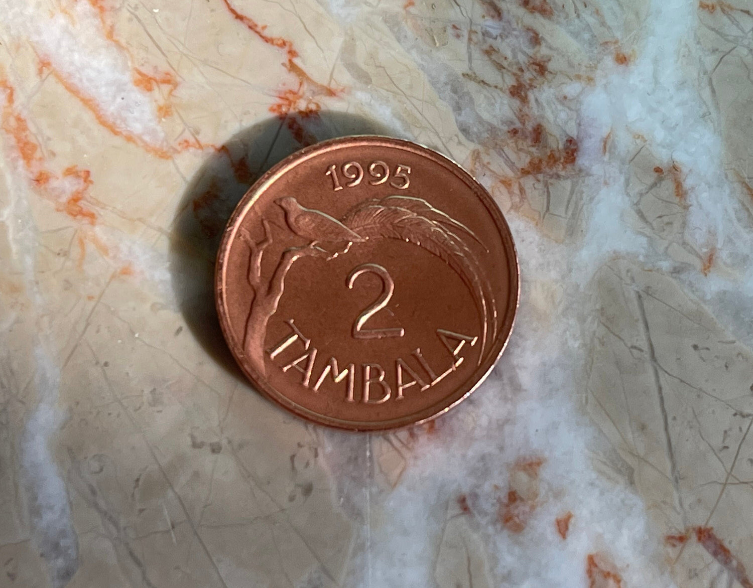 Paradise Whydah Bird 2 Tambala Malawi Authentic Coin Money for Jewelry and Craft Making