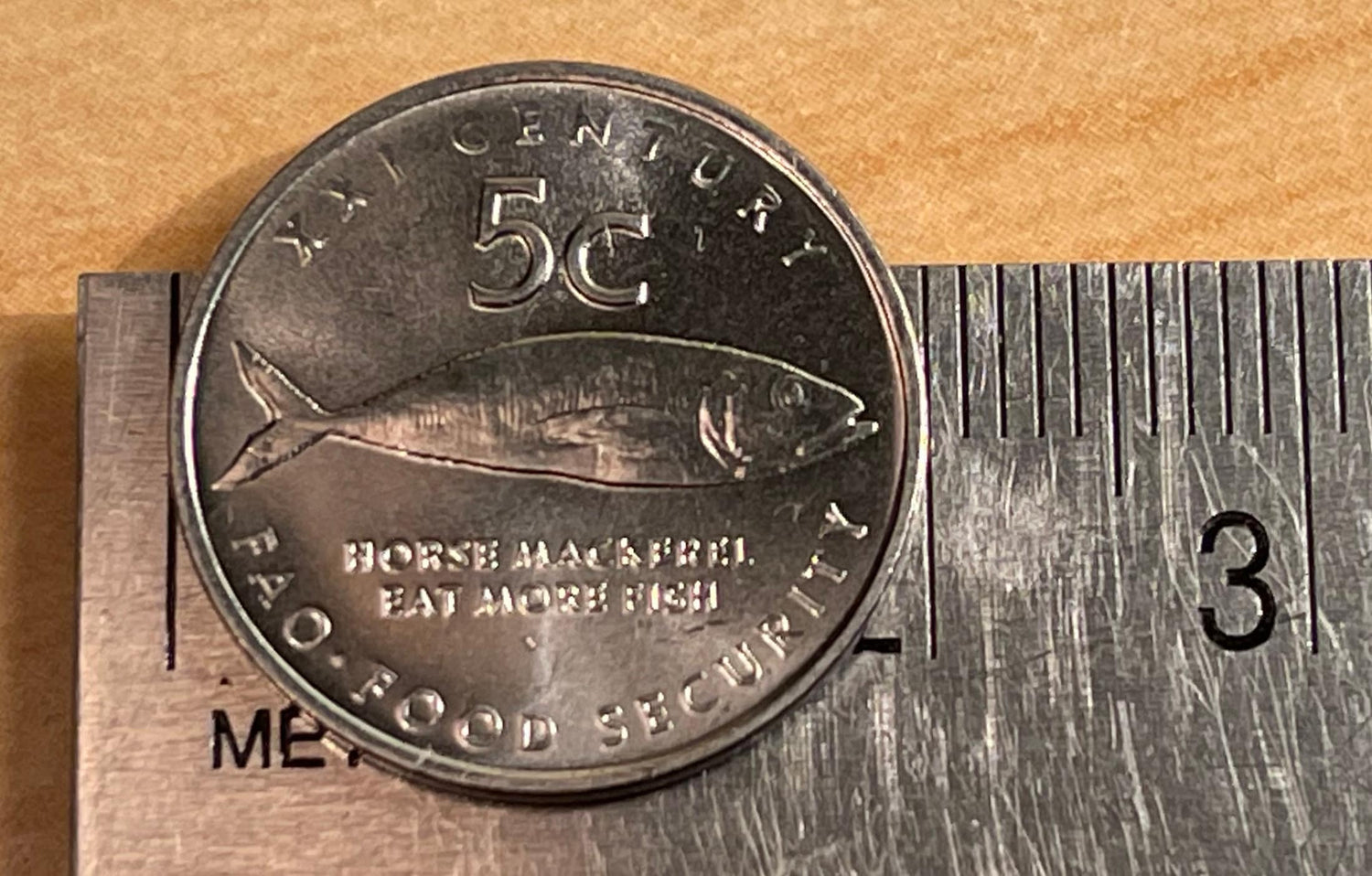 Cape Horse Mackerel "Eat More Fish" Namibian Authentic Coin Money for Jewelry and Craft Making
