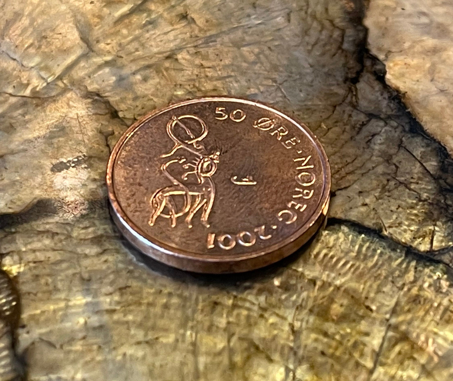 Nidhogg Dragon & Crown Norwegian Authentic Coin Money Øre for Jewelry and Craft Making