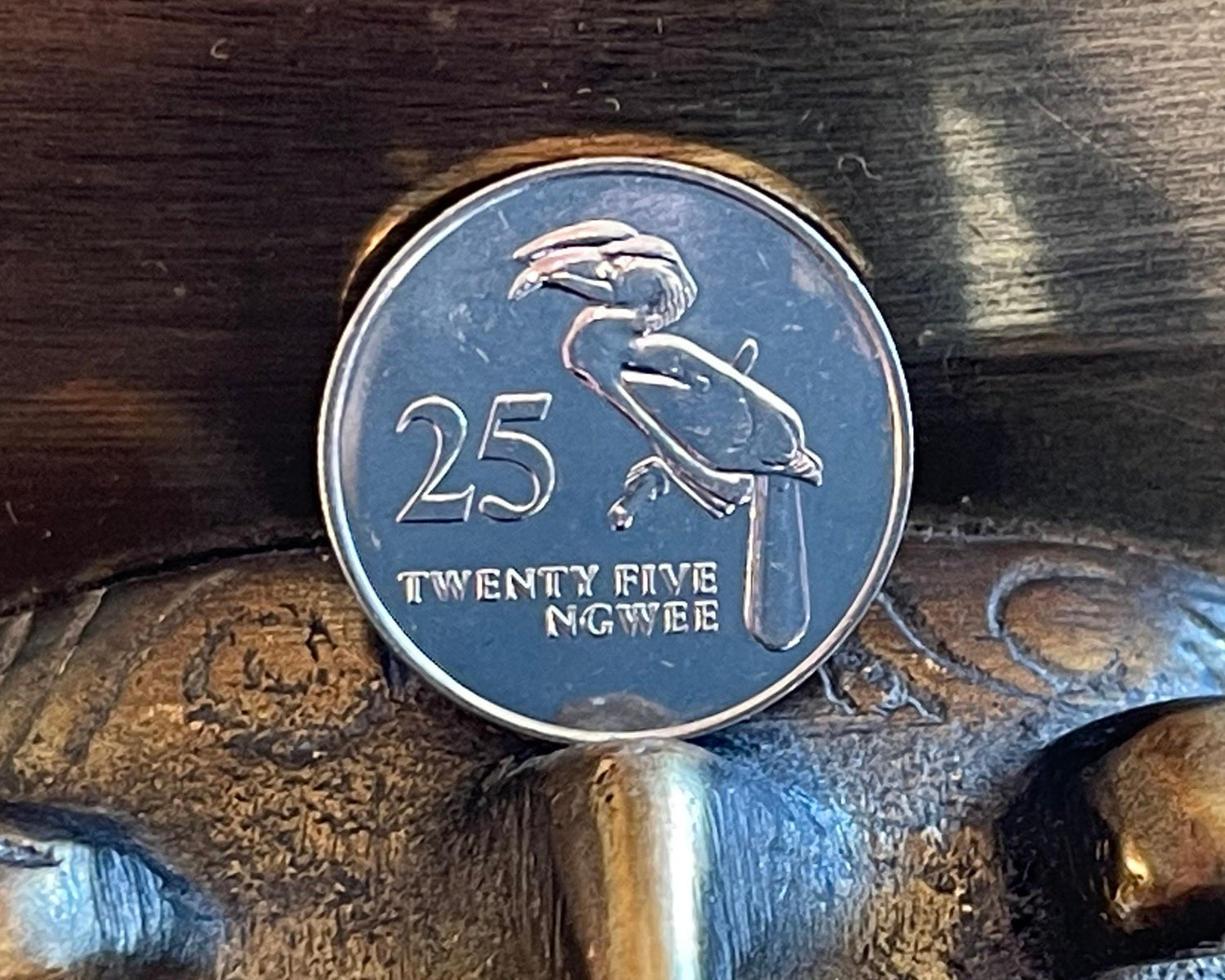 Hornbill 25 Ngwee Zambia Authentic Coin Money for Jewelry and Craft Making