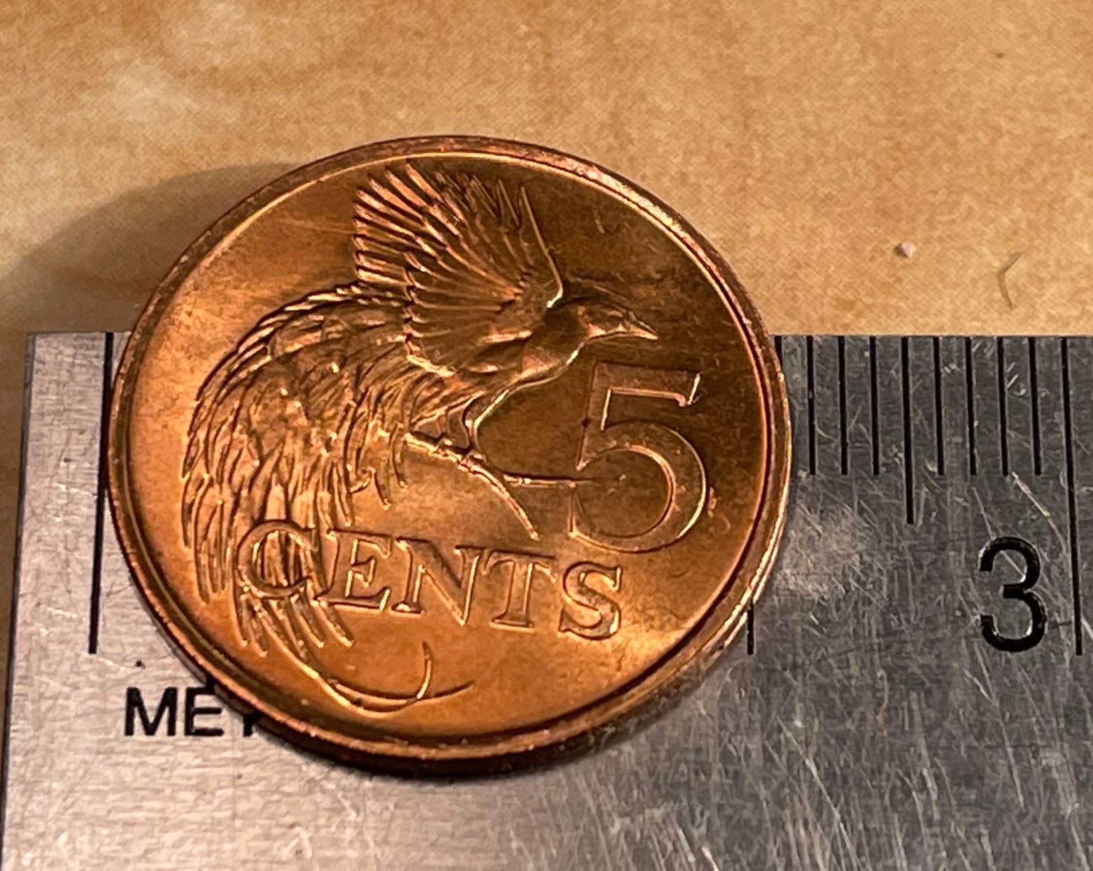 Bird of Paradise 5 Cents Trinidad & Tobago Authentic Coin Money for Jewelry and Craft Making