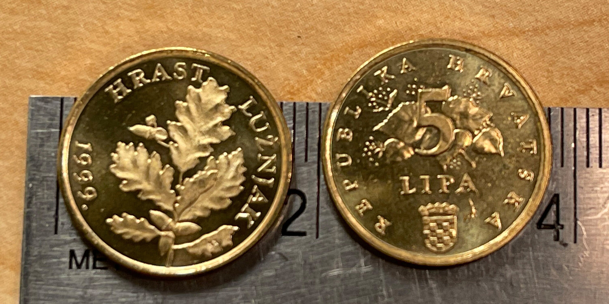 Red Oak Branch Croatia Authentic Coin Money 5 Lipa for Jewelry and Craft Making