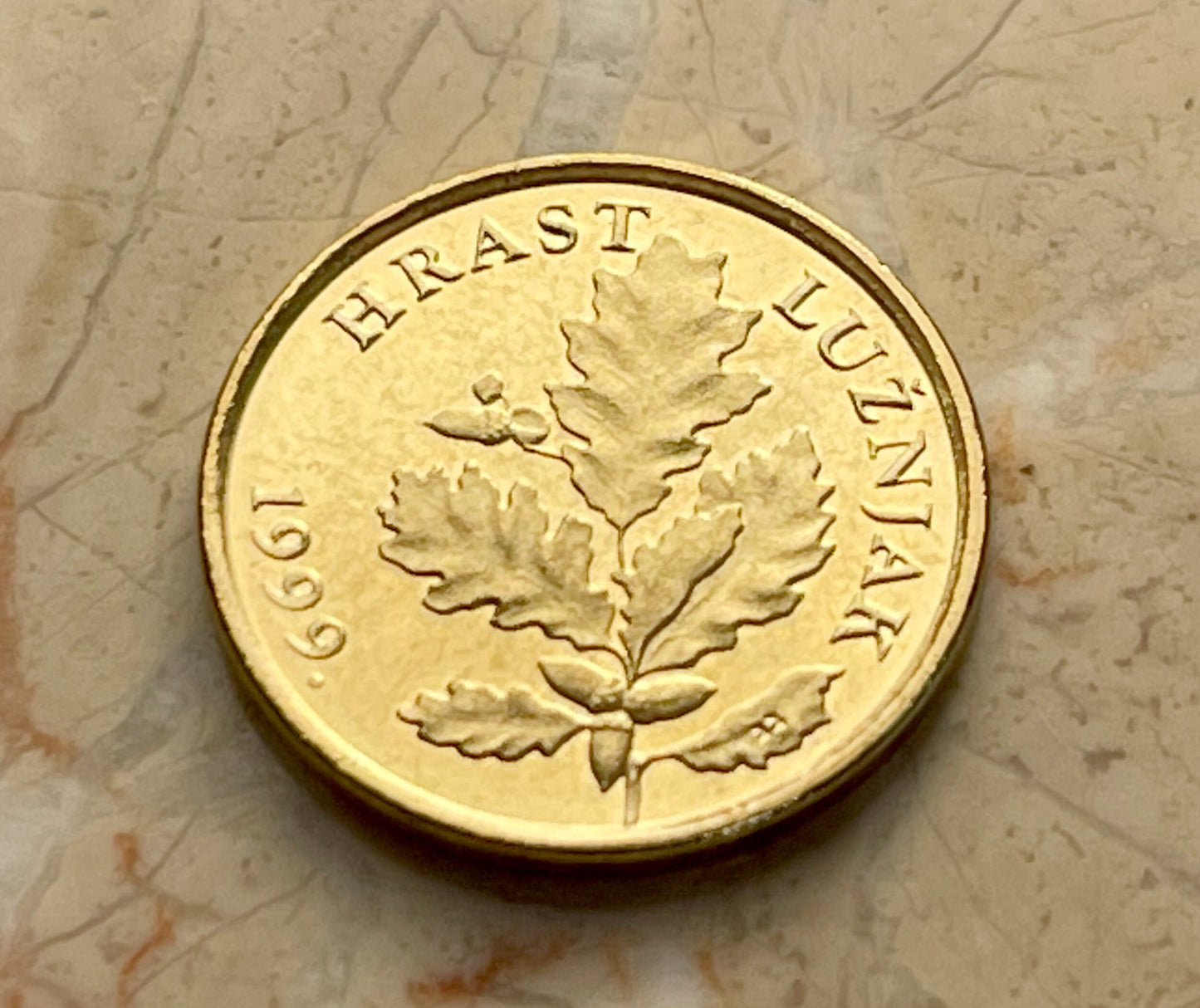 Red Oak Branch Croatia Authentic Coin Money 5 Lipa for Jewelry and Craft Making