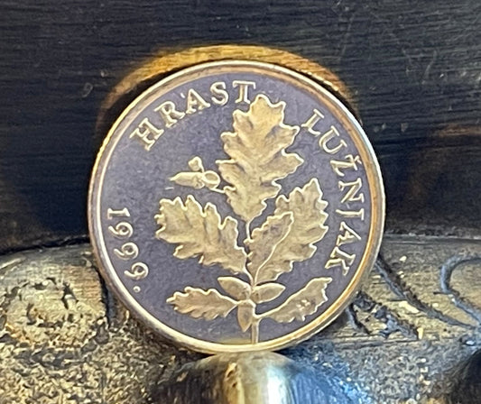 Red Oak Branch Croatia Authentic Coin Money 5 Lipa for Jewelry and Craft Making