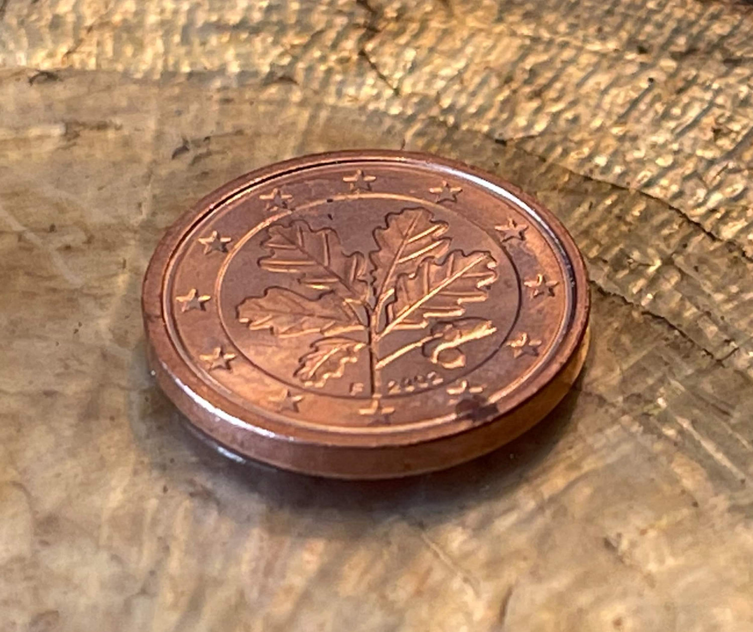 Oak Twig 1 Euro Cent German Authentic Coin Money for Jewelry and Craft Making