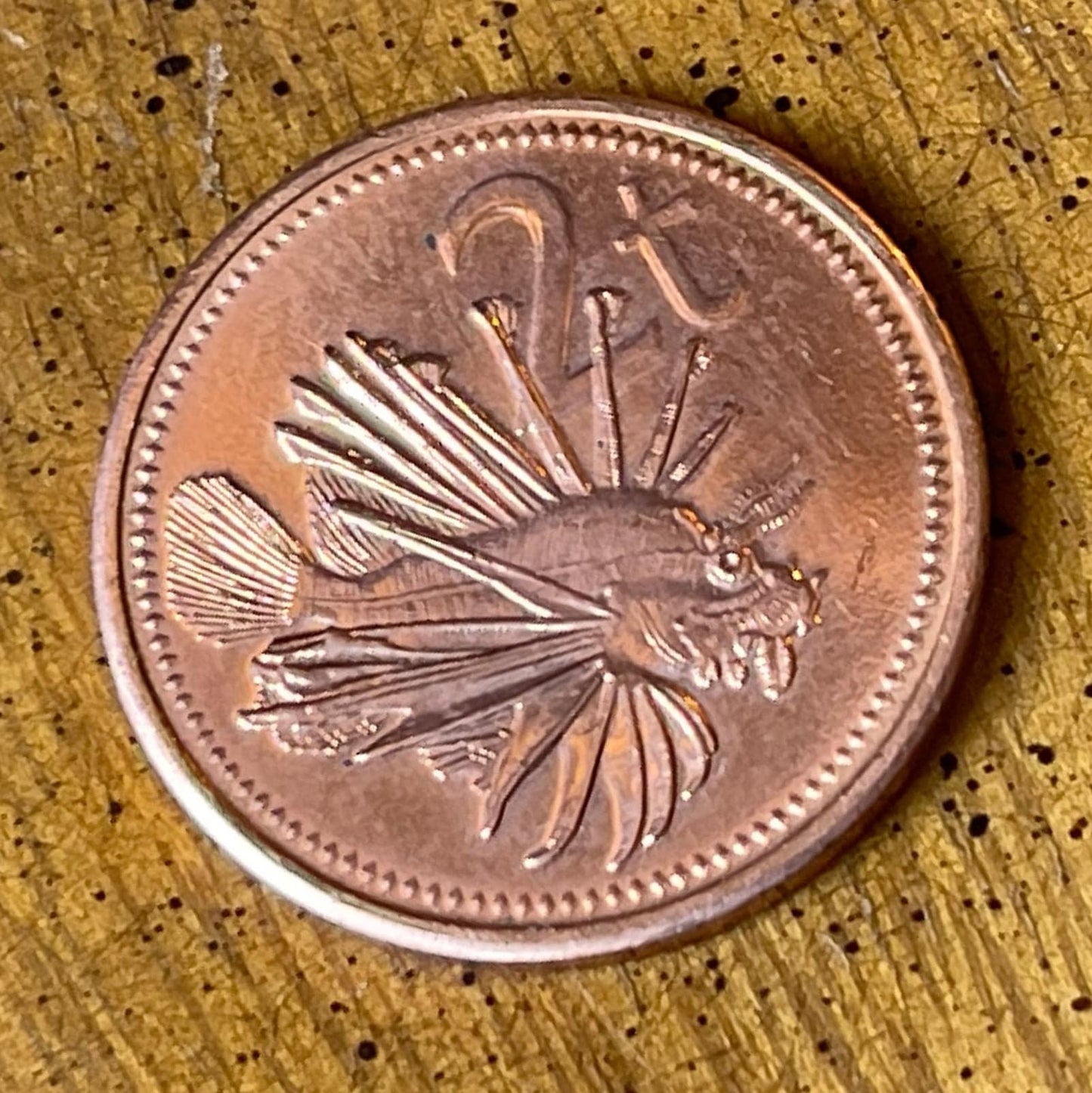 Lion Fish & Paradise Bird Papua New Guinea Authentic Coin Money 2 Toea for Jewelry and Craft Making