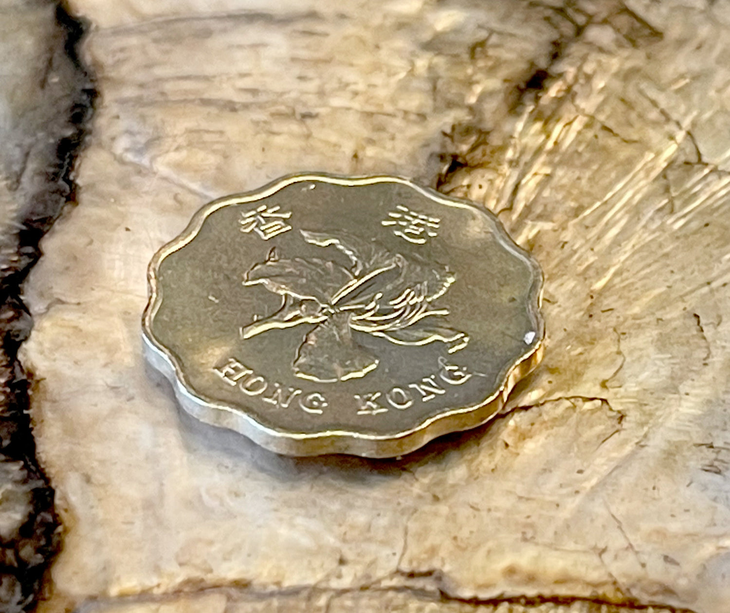 Bauhinia Orchid 20 Cent Hong Kong Authentic Coin Money for Jewelry and Craft Making