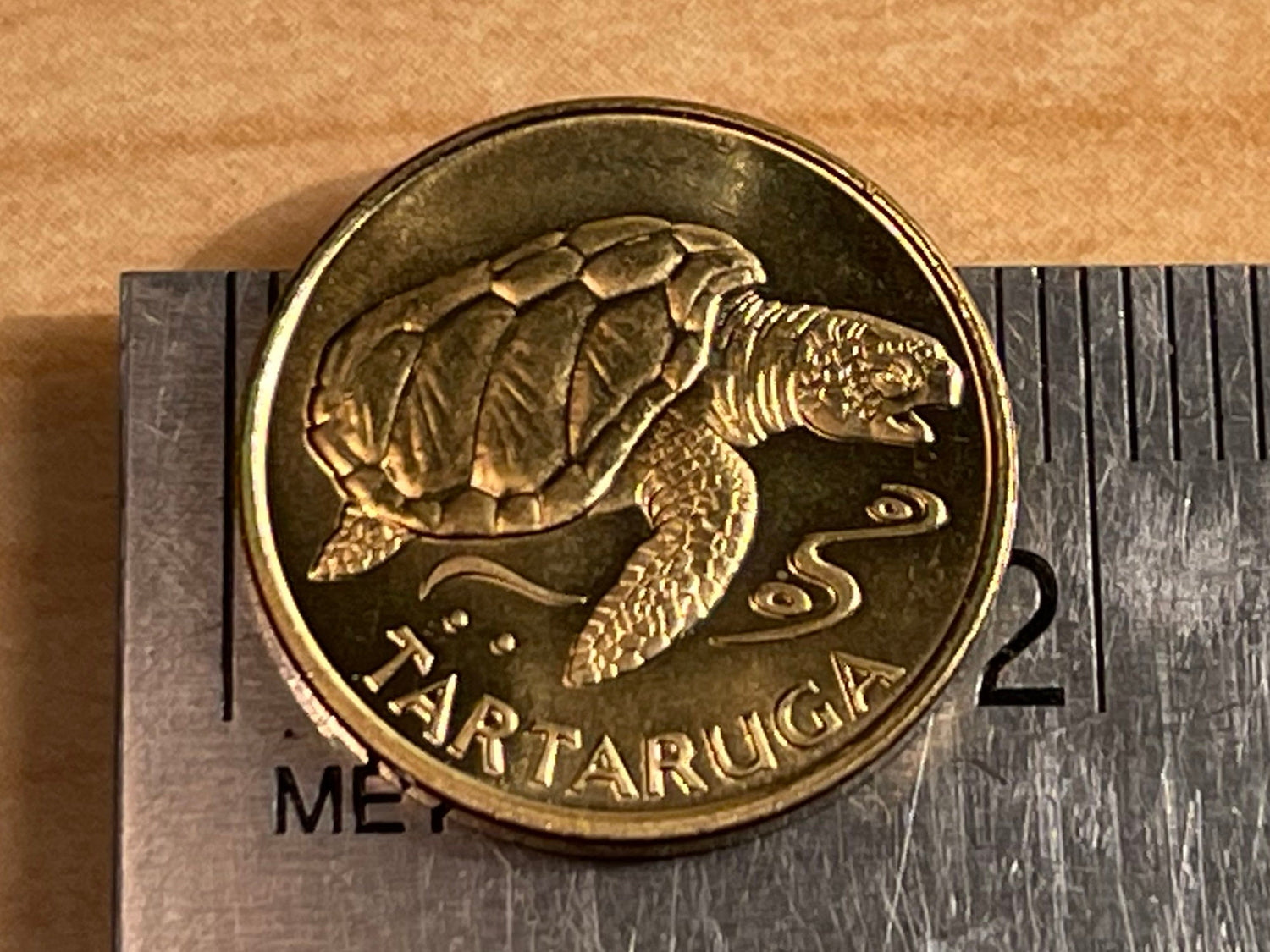 Loggerhead Turtle 1 Escudo Cape Verde Authentic Coin Money for Jewelry and Craft Making