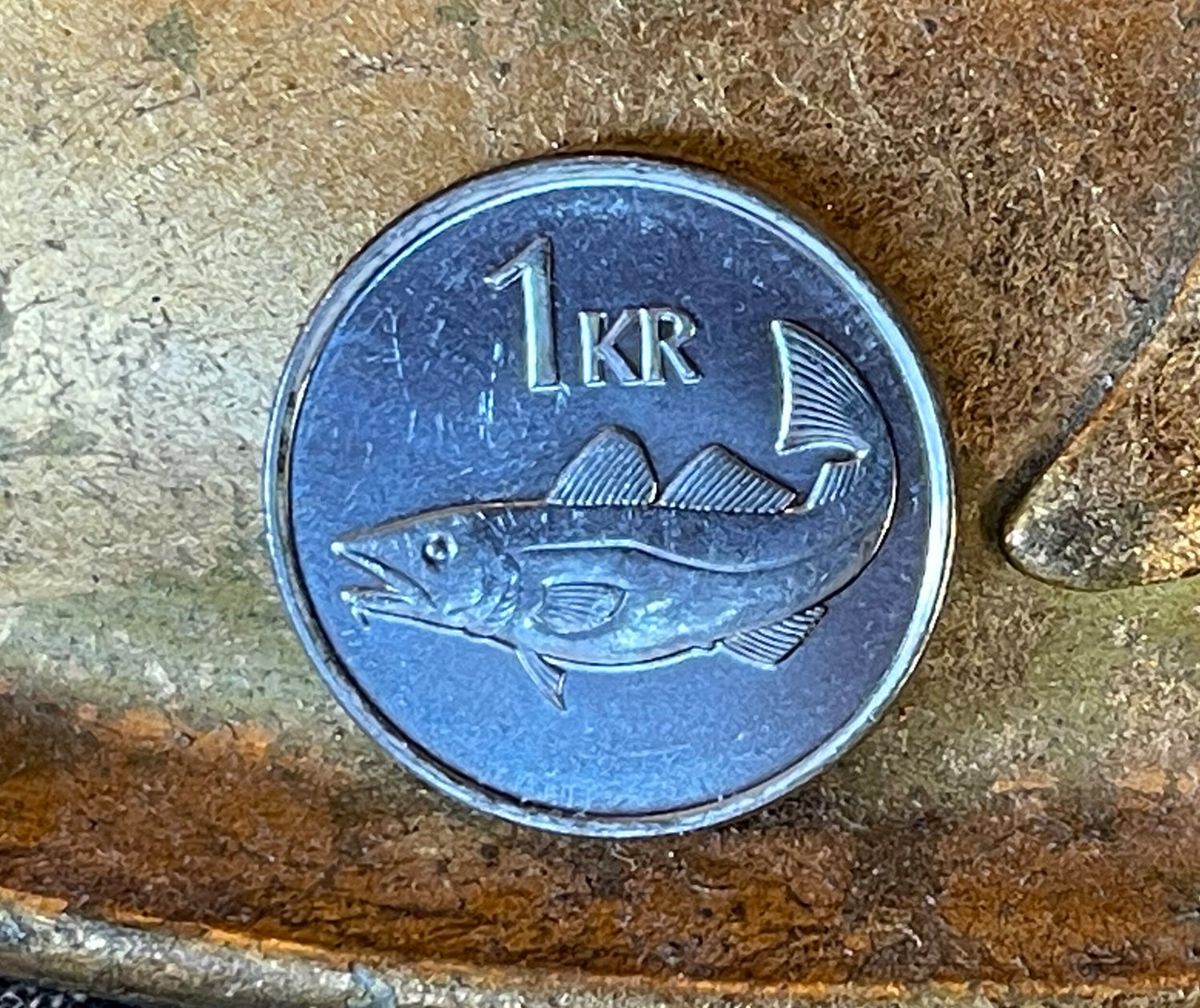 Giant Bergrisi & Cod Fish Krona Iceland Authentic Coin Money for Jewelry and Crafting Making