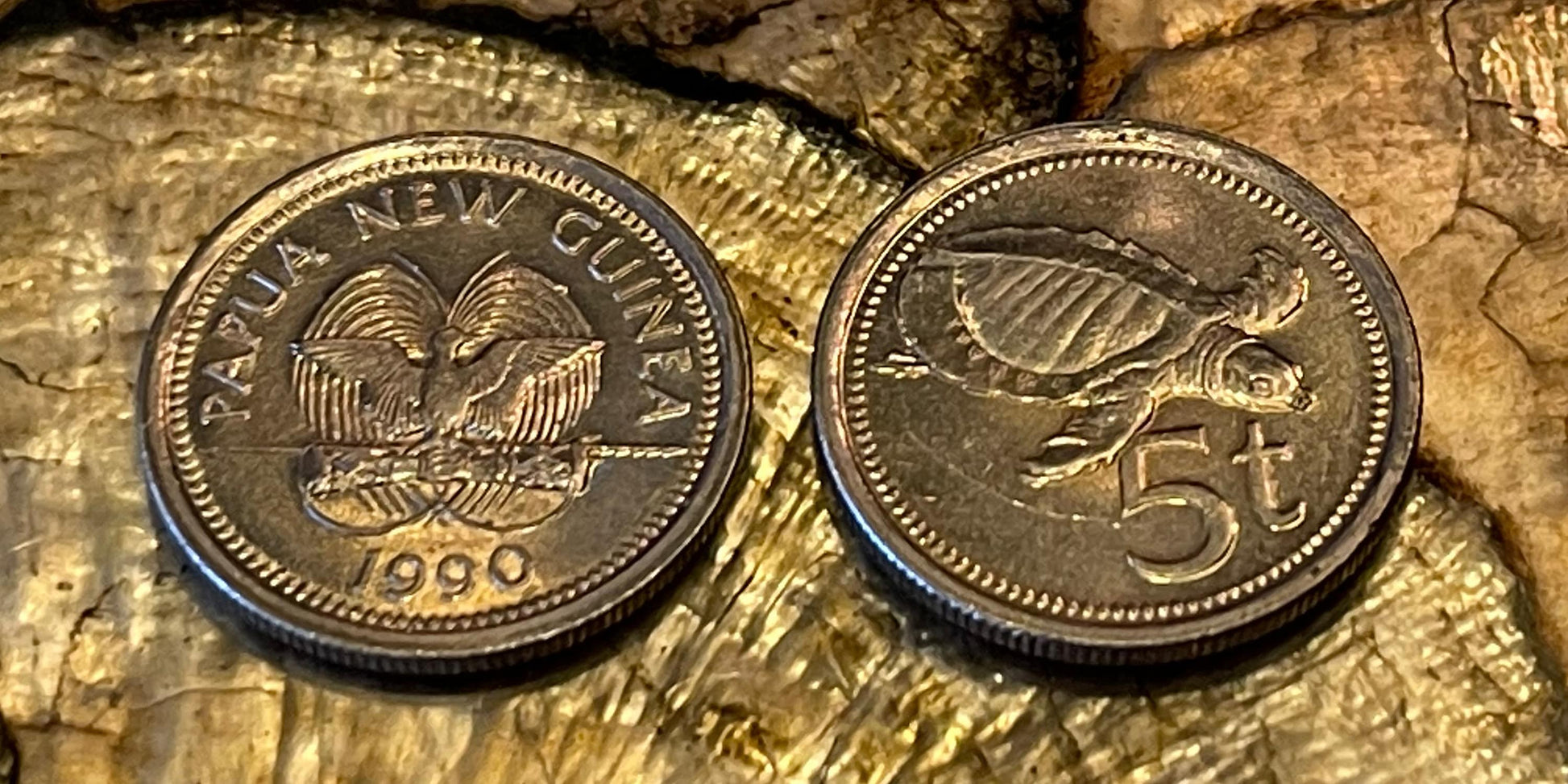 Pig-Nosed Turtle & Paradise Bird Papua New Guinea Authentic Coin Money Toea for Jewelry and Craft Making