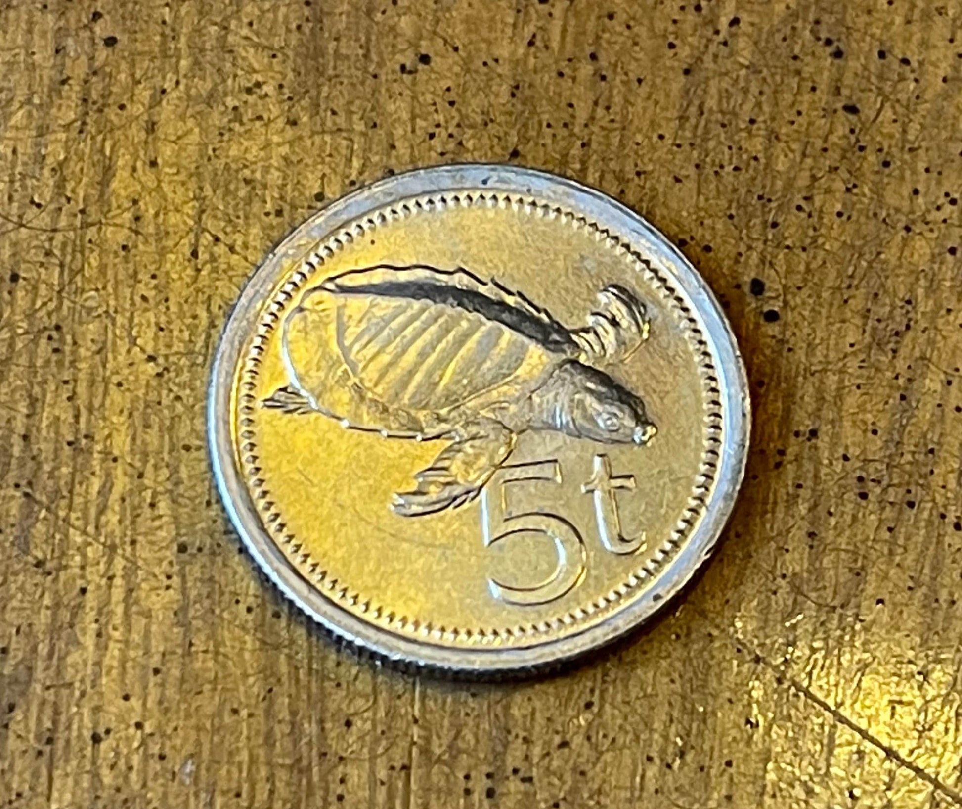 Pig-Nosed Turtle & Paradise Bird Papua New Guinea Authentic Coin Money Toea for Jewelry and Craft Making