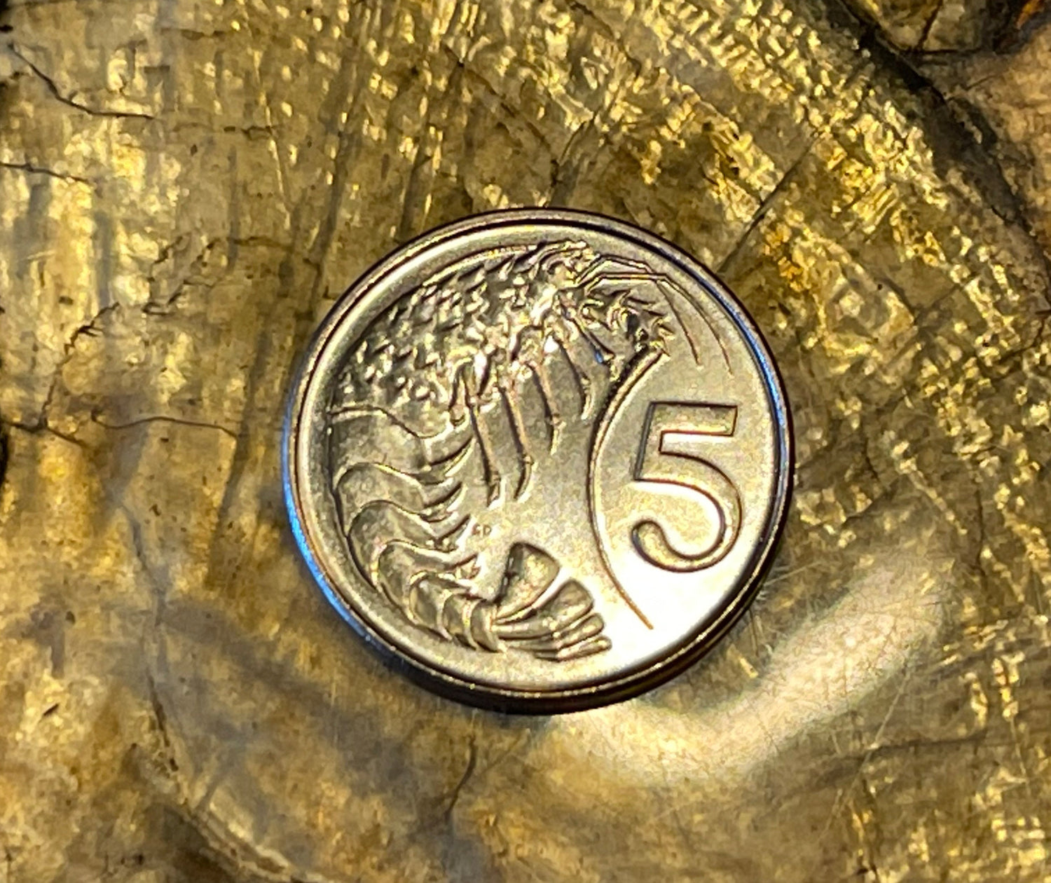 Crayfish Cayman Islands Authentic Coin Money Cent for Jewelry and Craft Making
