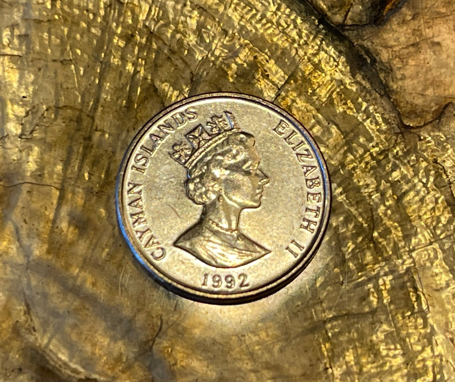 Crayfish Cayman Islands Authentic Coin Money Cent for Jewelry and Craft Making
