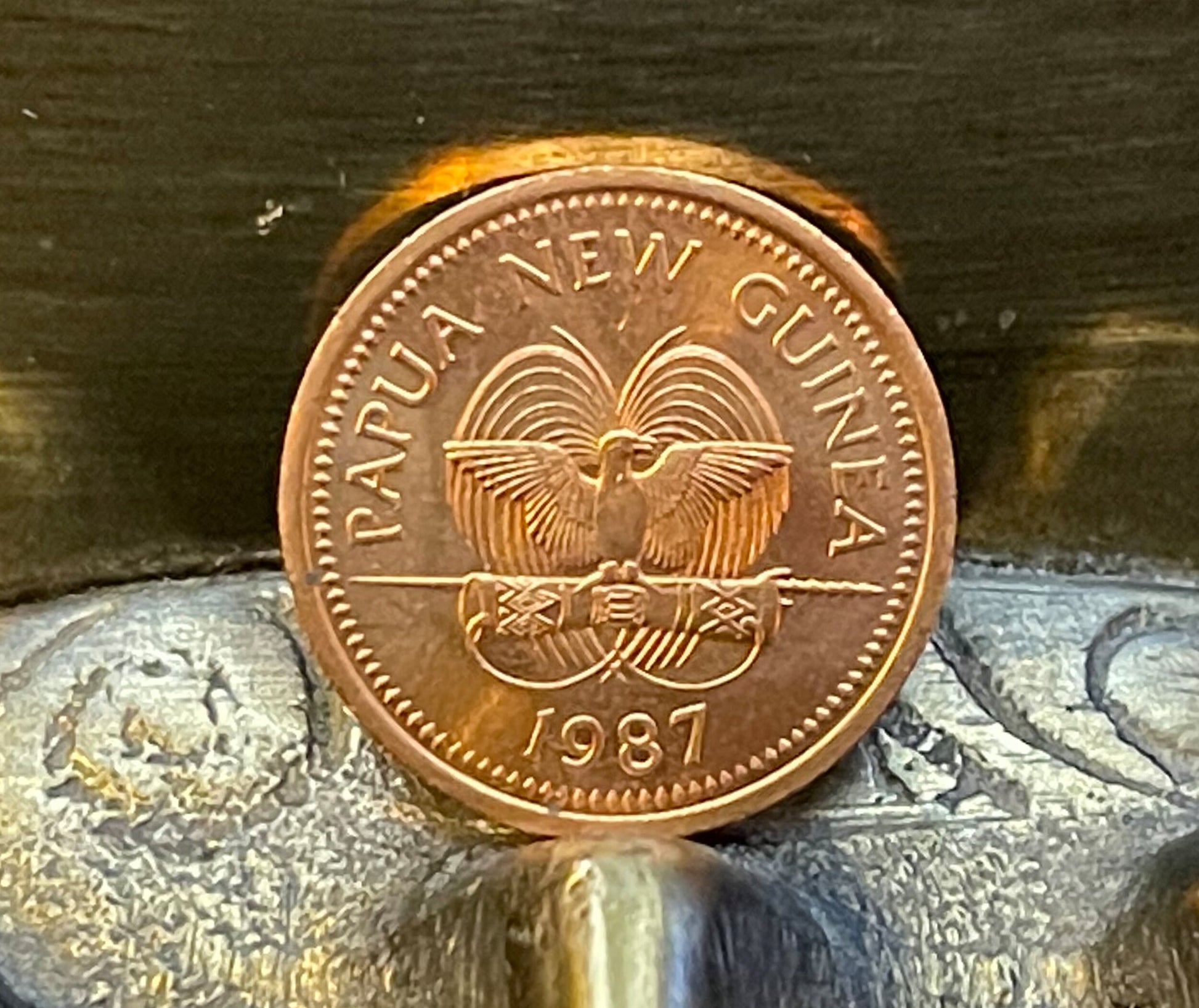 World's Biggest Butterfly - Birdwing - & Bird of Paradise - Papua New Guinea Authentic Coin - 1 Toea - Money for Jewelry and Craft Making