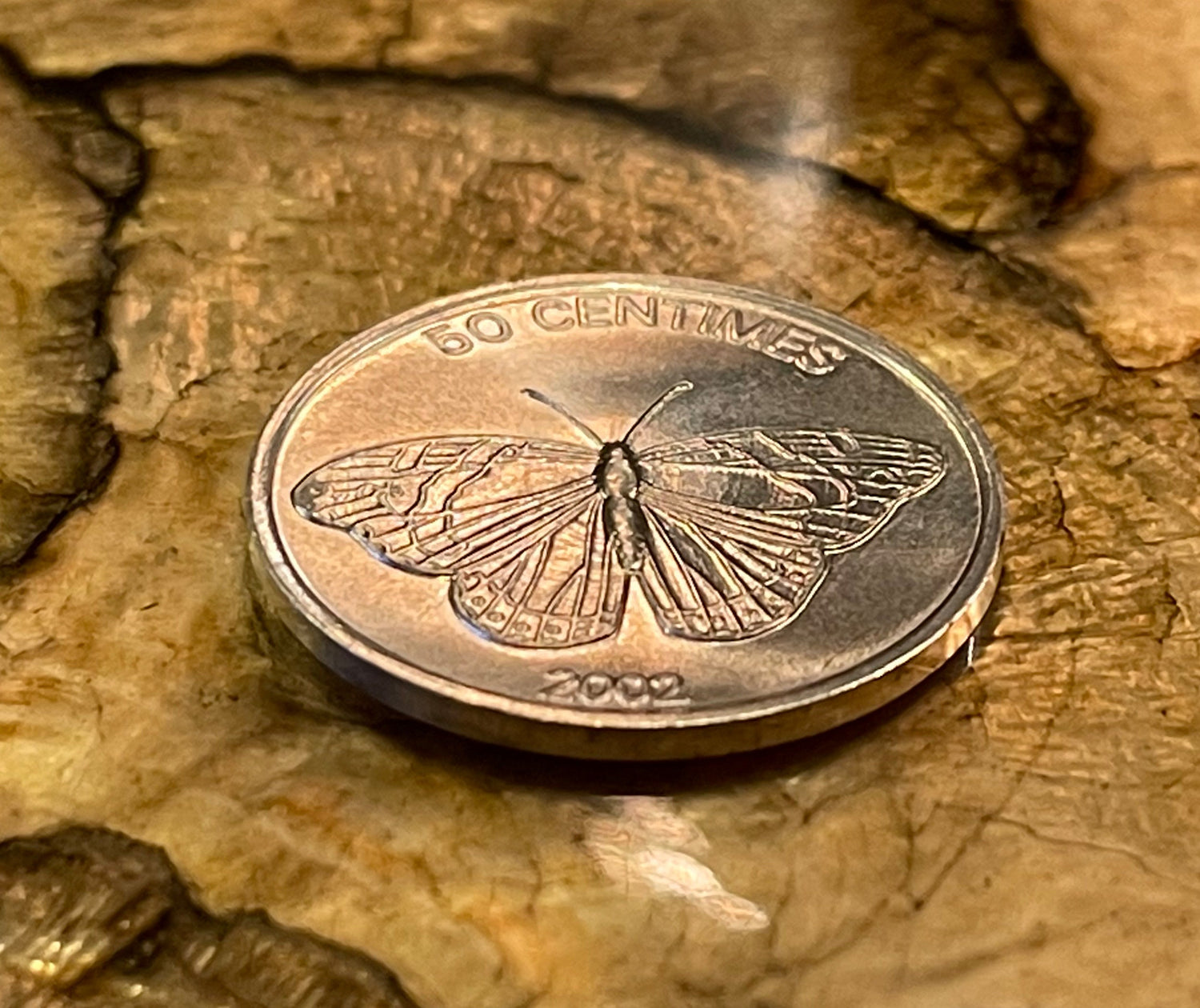 Lion & Butterfly 50 Centimes Democratic Republic of Congo Authentic Coin Money for Jewelry and Craft Making