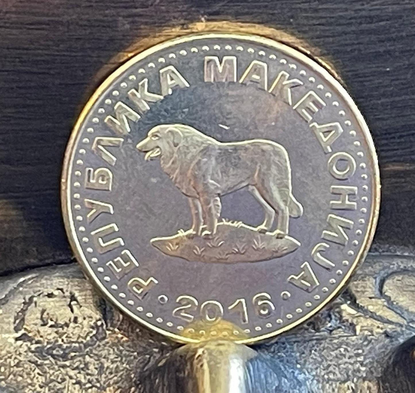 Sarplaninac Shepherd Dog Macedonia 1 Denar Authentic Coin Money for Jewelry and Craft Making