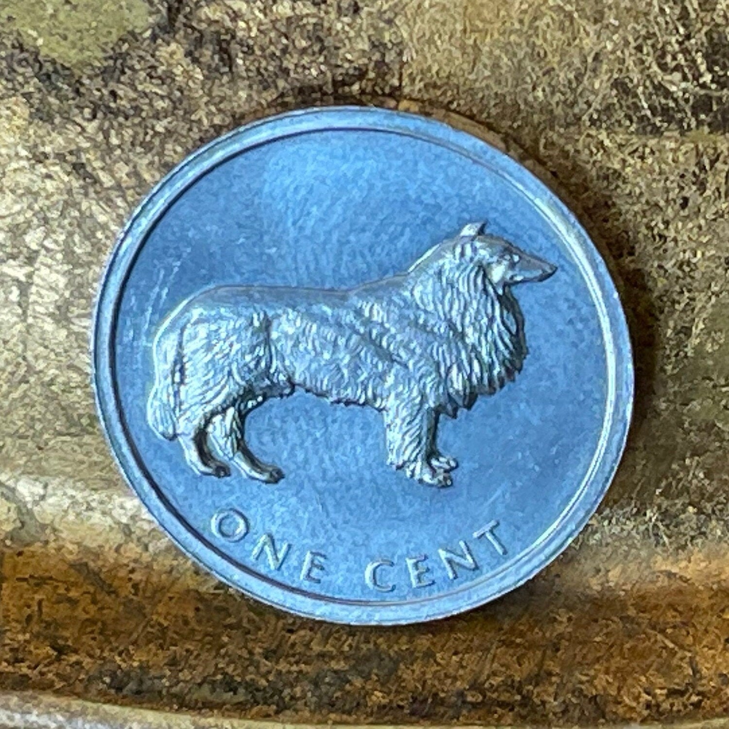 Border Collie Cook Islands 1 Cent Authentic Coin Money for Jewelry and Craft Making