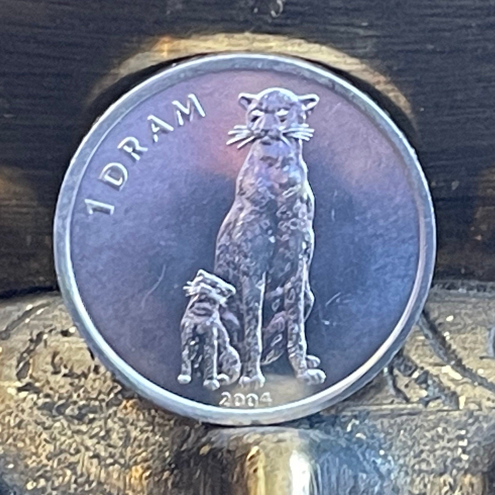 Cheetah w/ Cub Nagorno-Karabakh 1 Dram Authentic Coin for Jewelry and Craft Making
